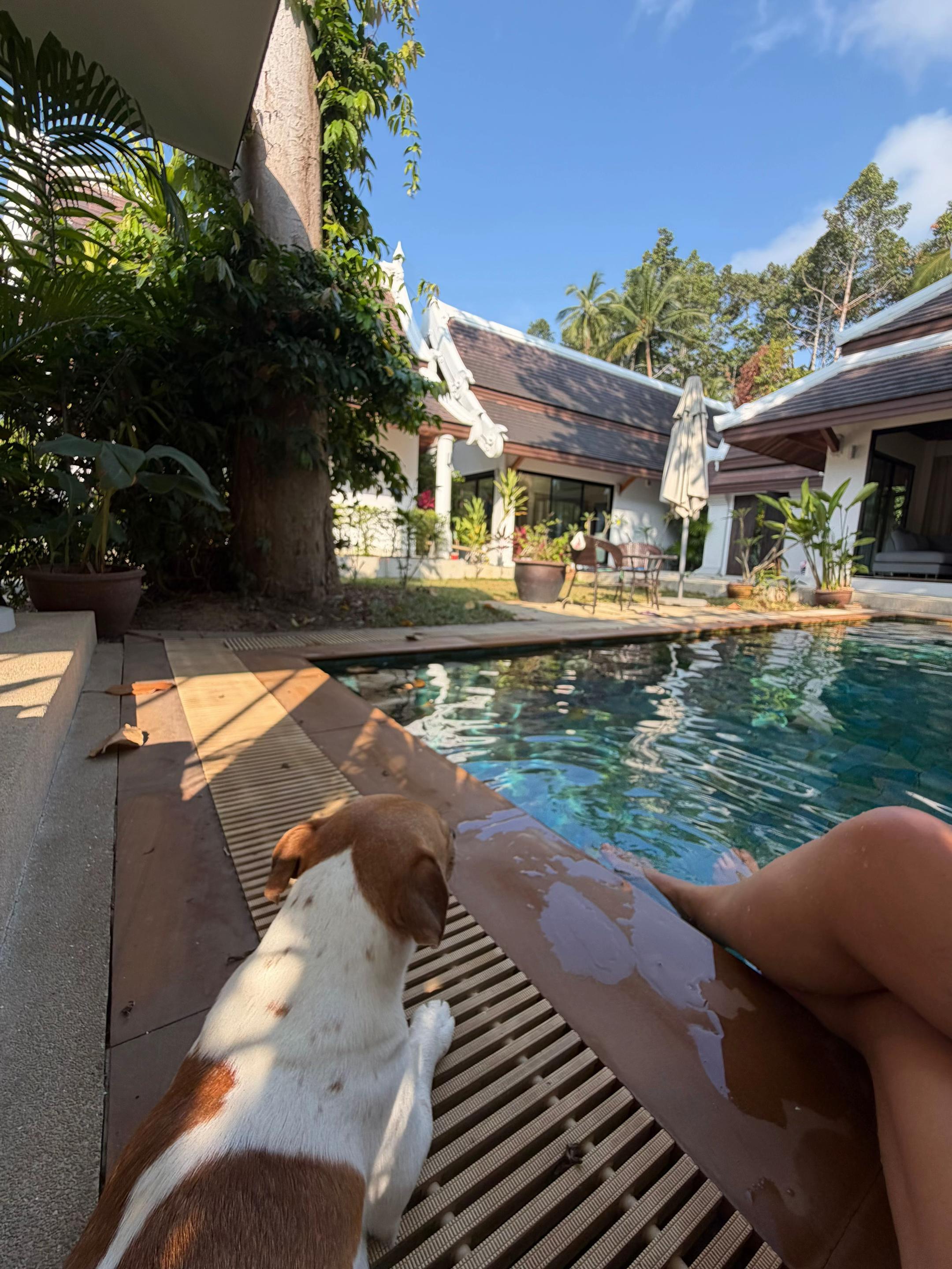 @Salomea Mar