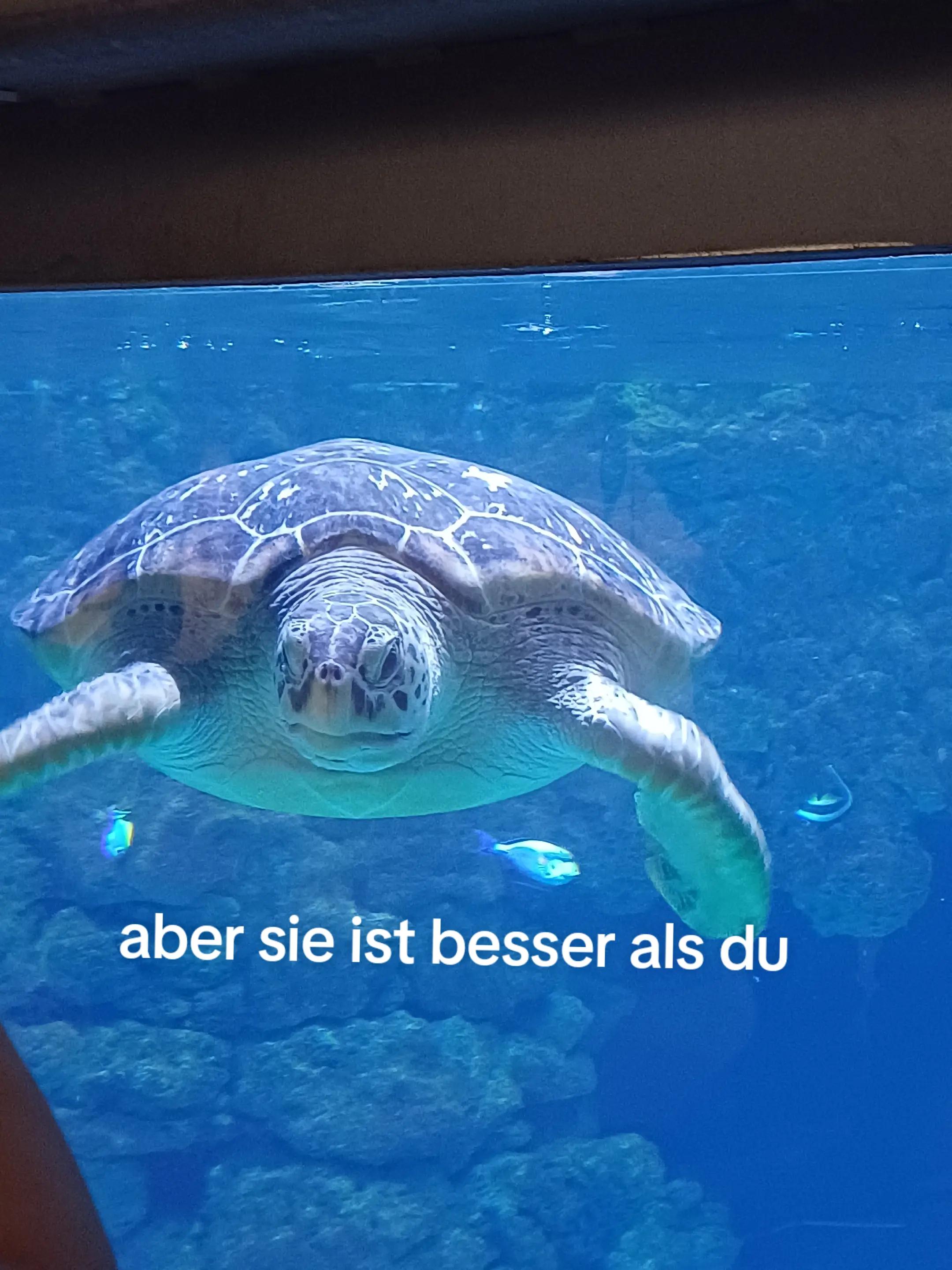 @Lena🌺🇩🇪