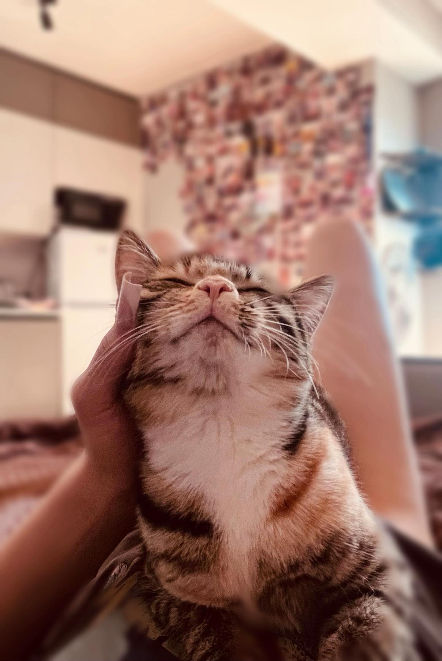 @ТГК: Кроха