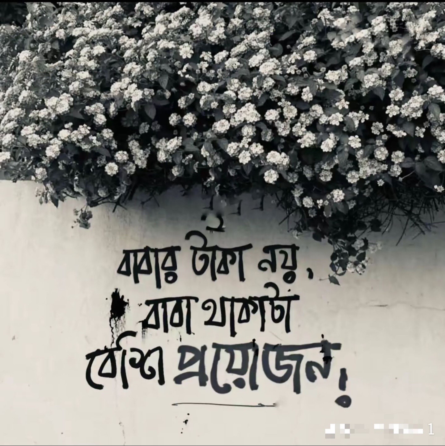 @pulsar.emon101🥷