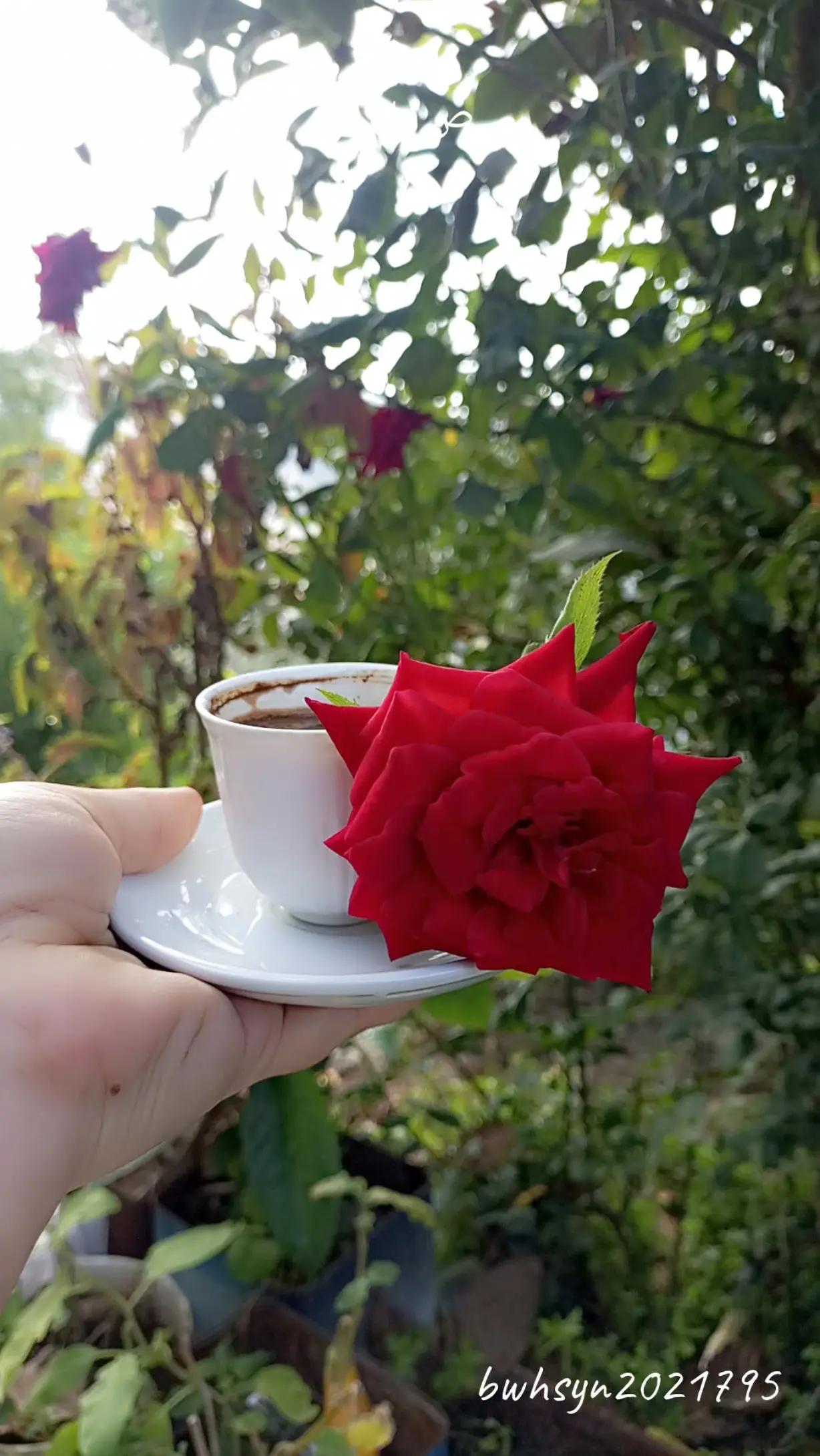 @انعام بنت منذر