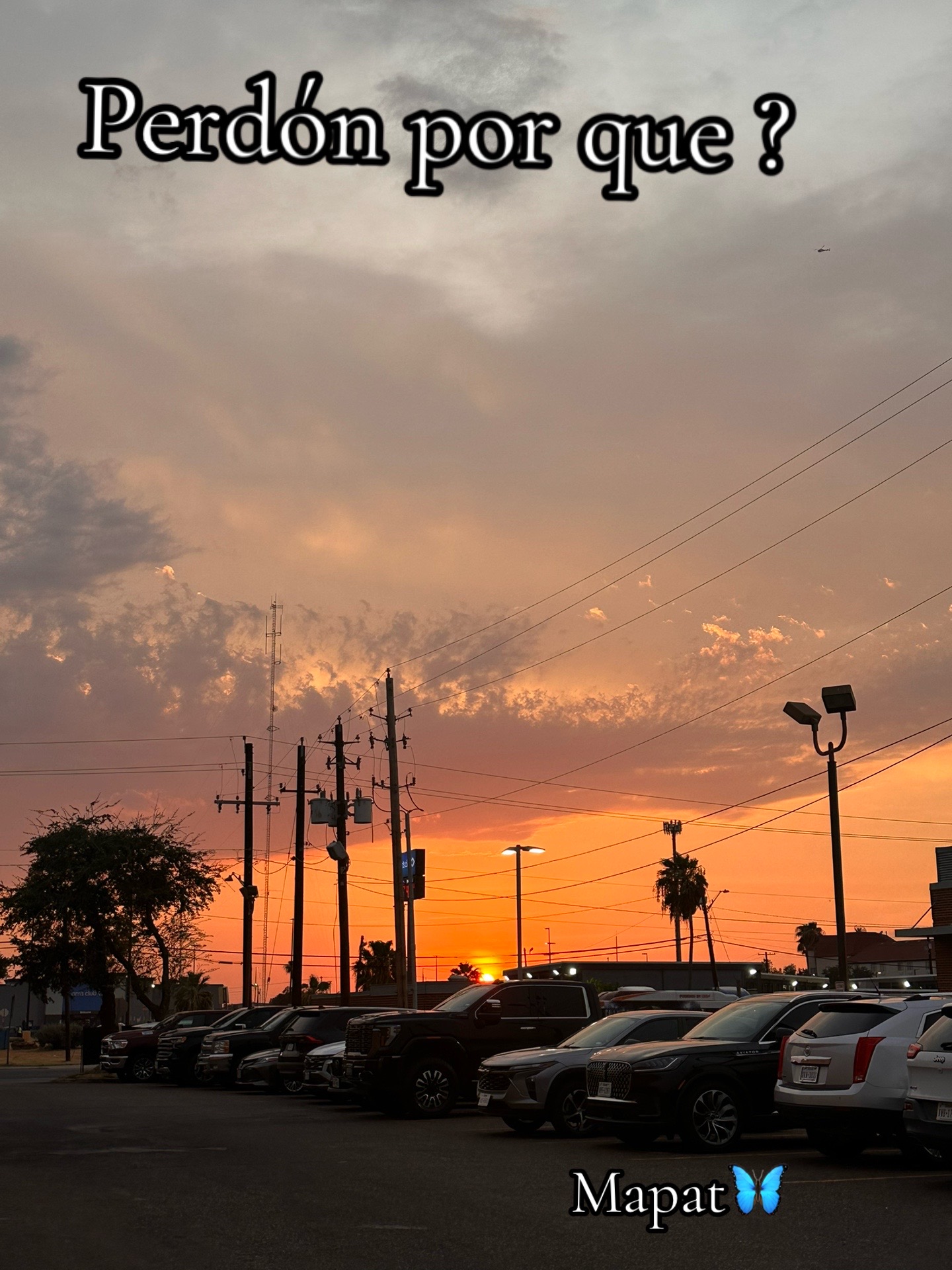 @Martha P. Betancourt Hernández