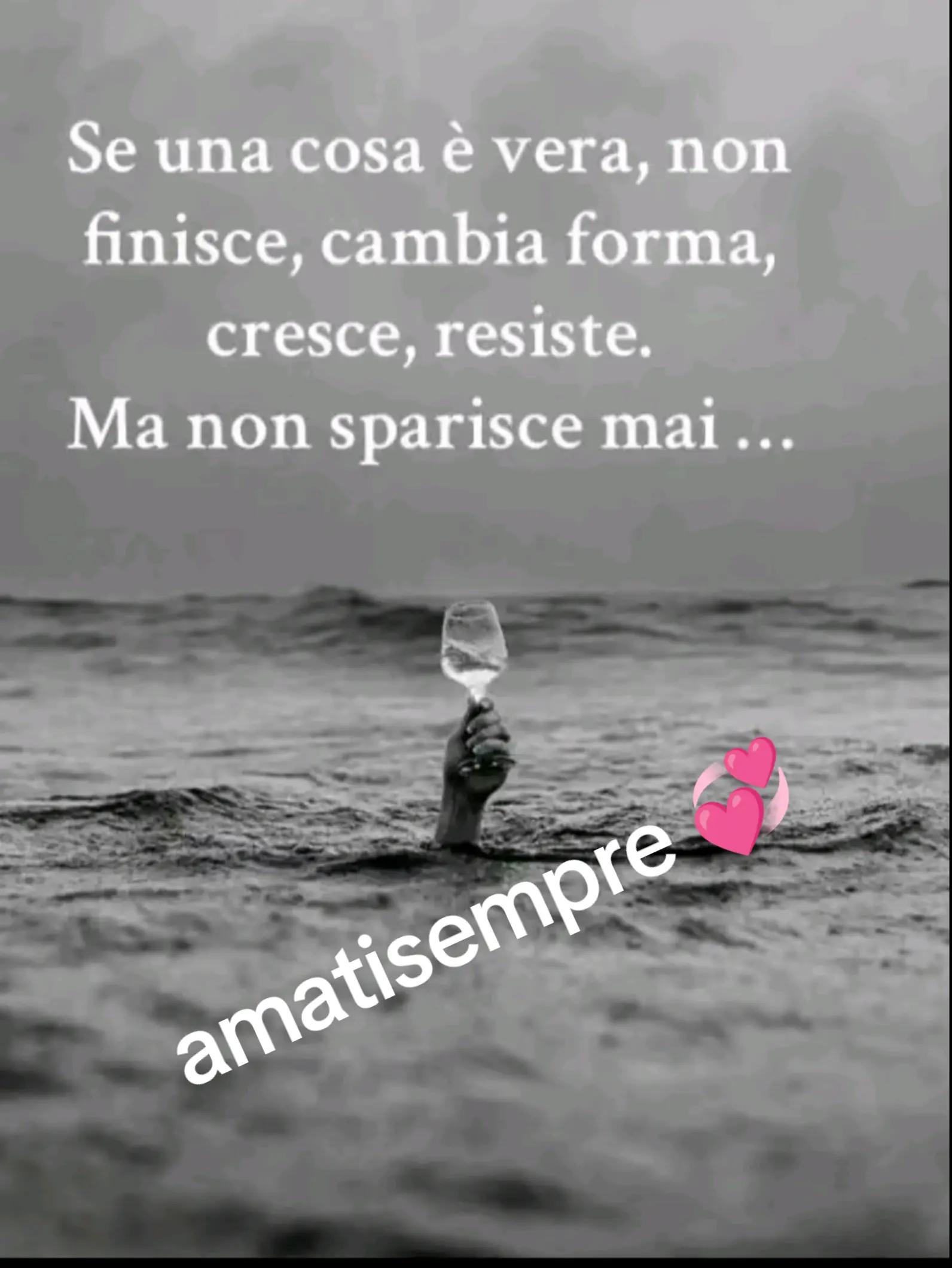 @lucia