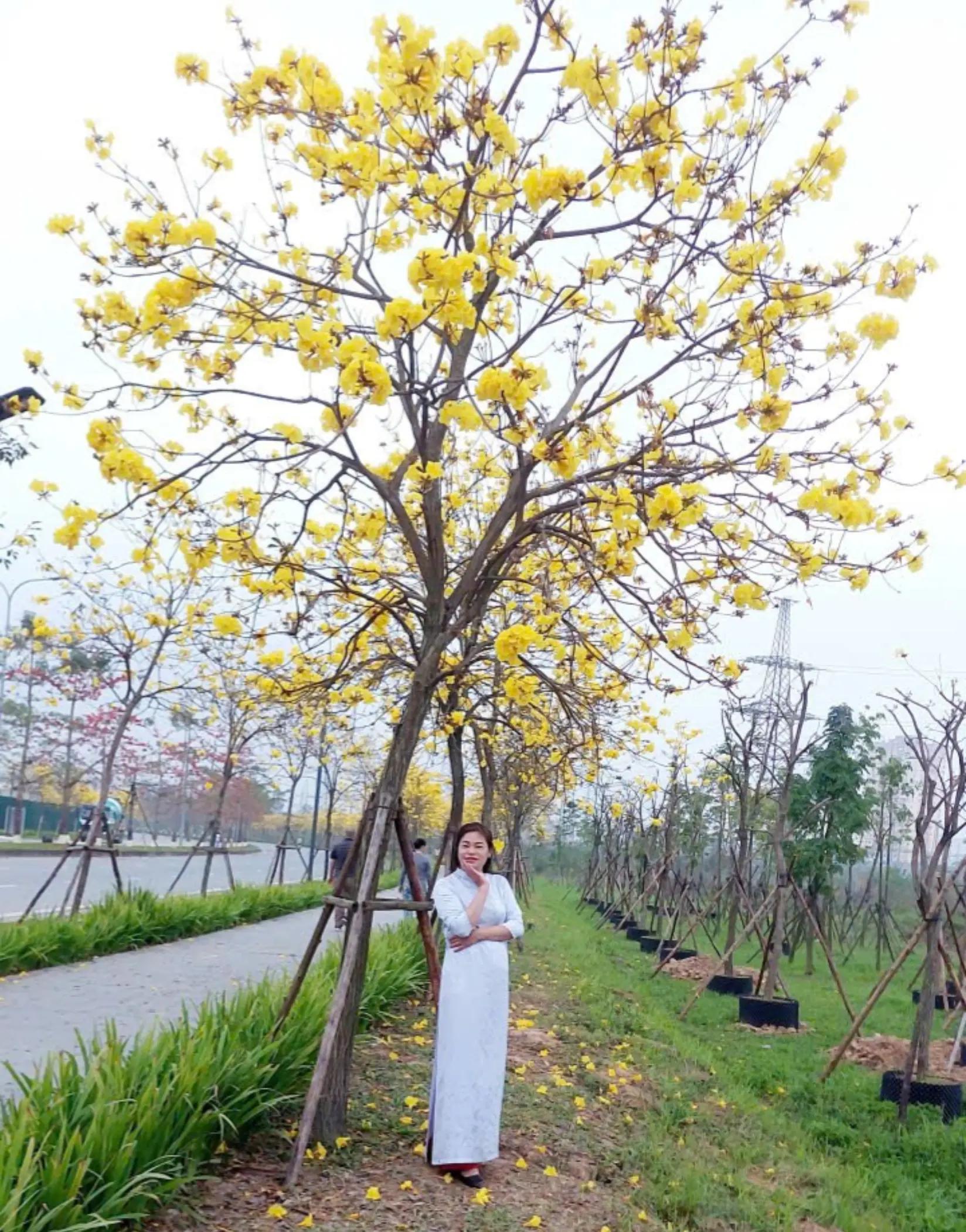 @Nguyễn mến dạ thảo li&ecirc;n @