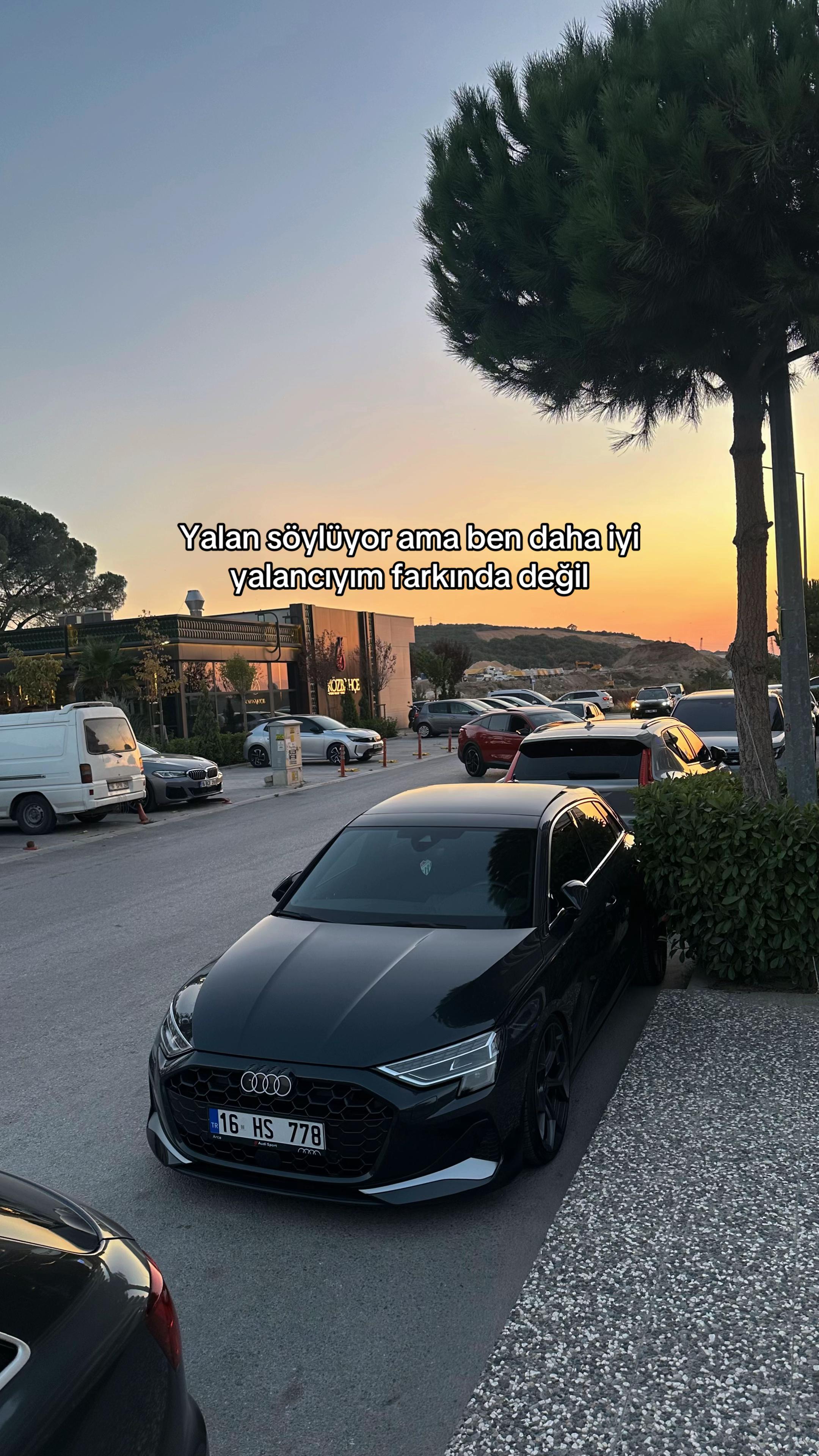 @Halil Tanay SALİM