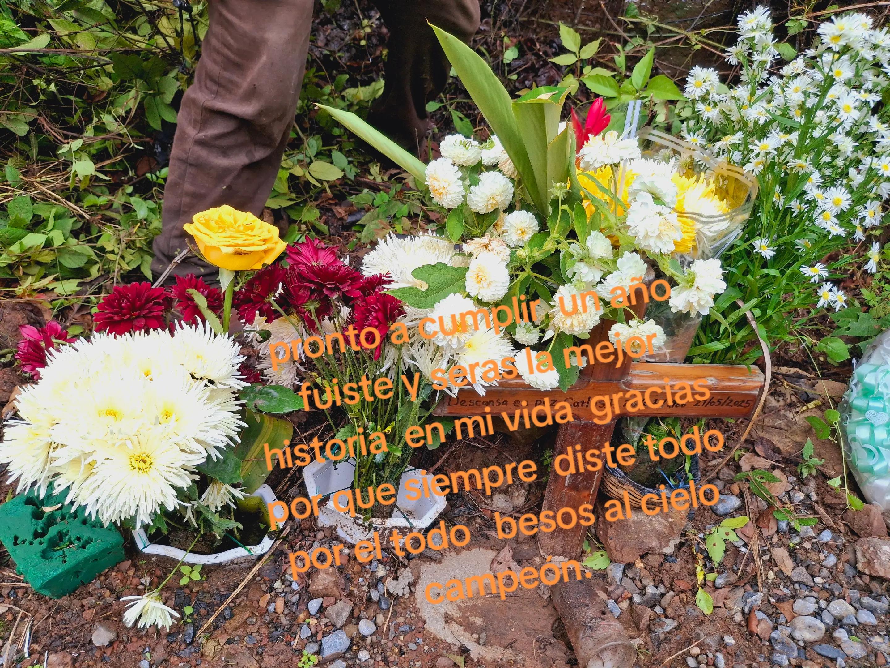 @Silvia garcia