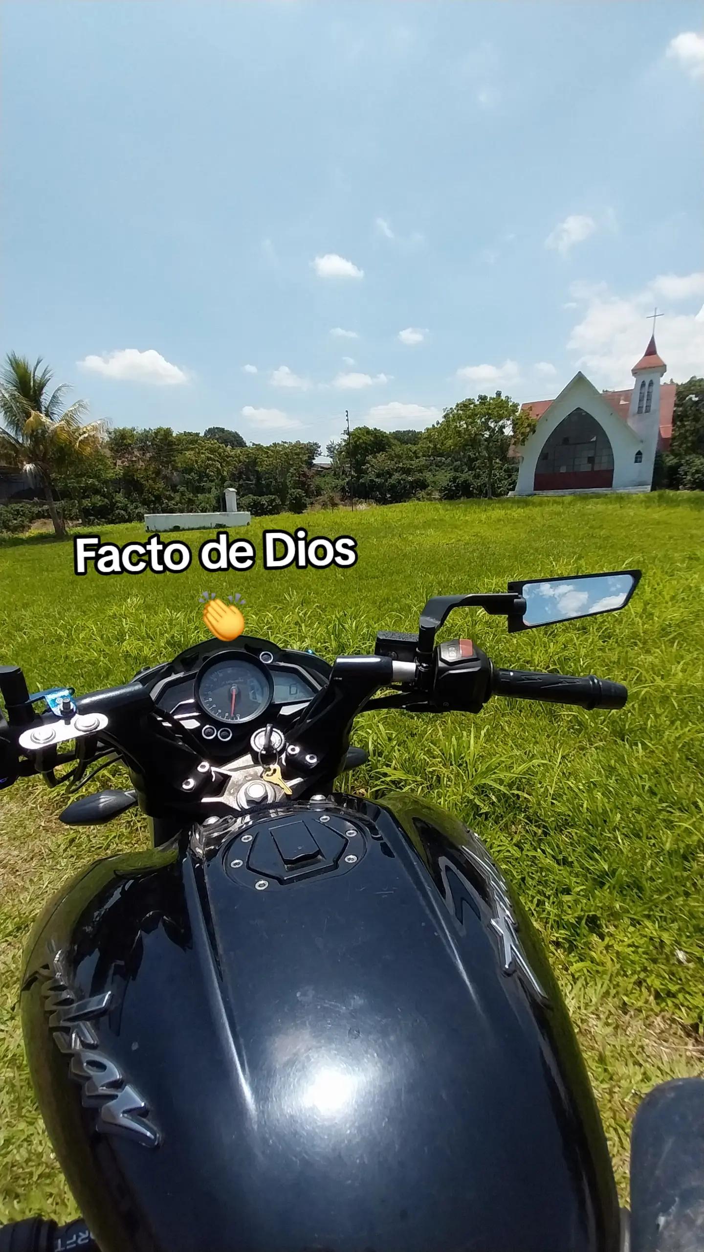 @frank Tzep Quemá🦁