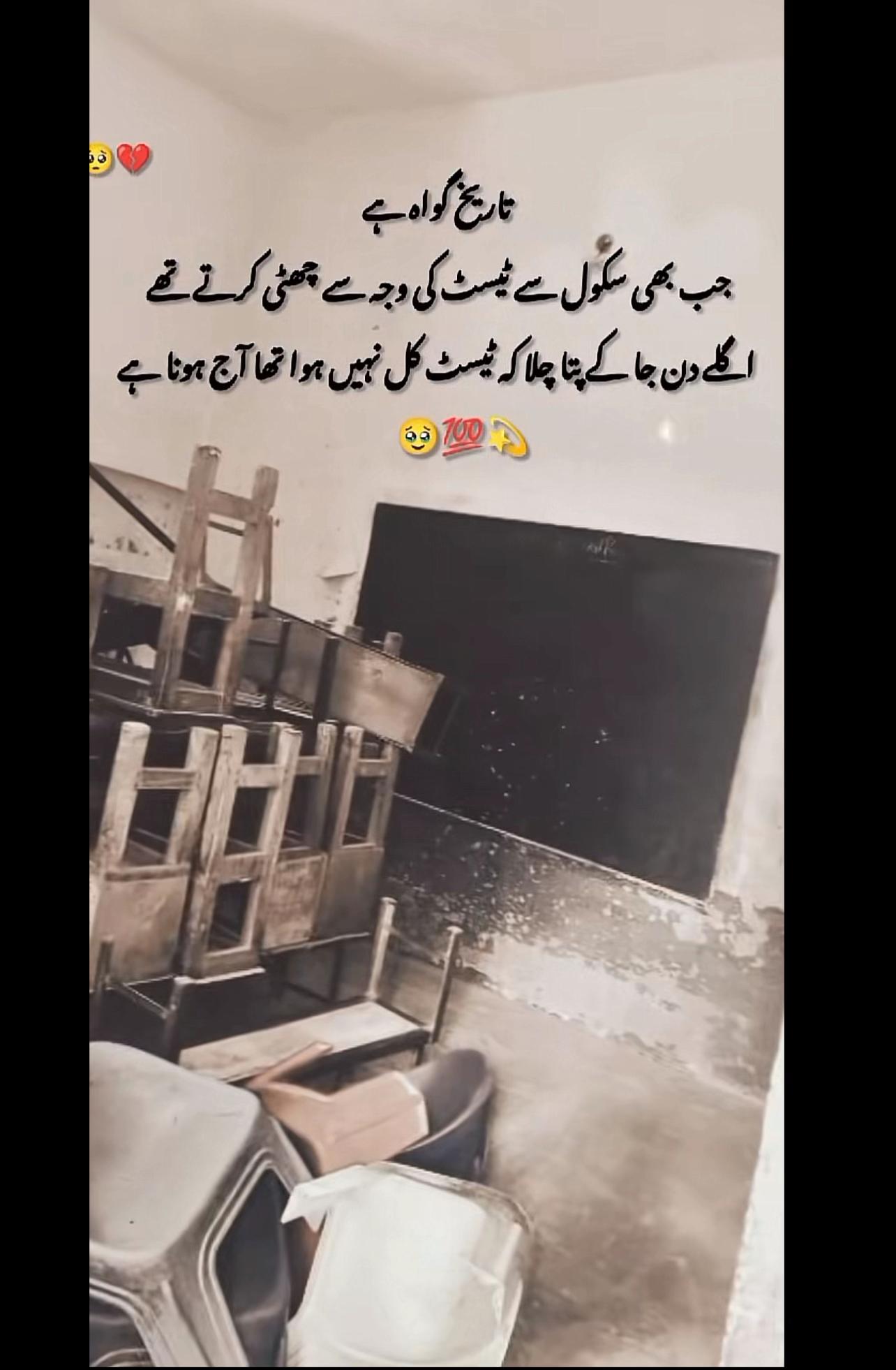@HAYA ALI