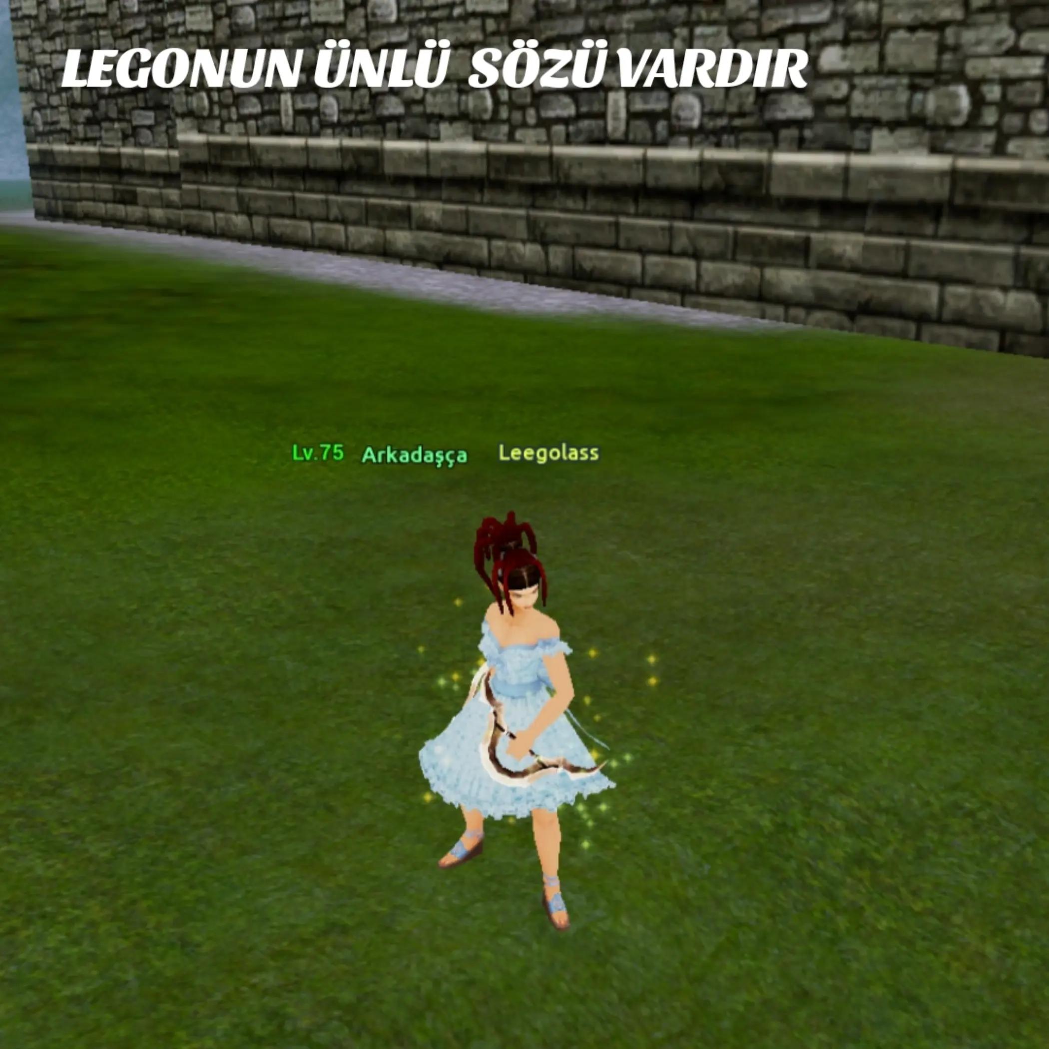 @LEGOLASS