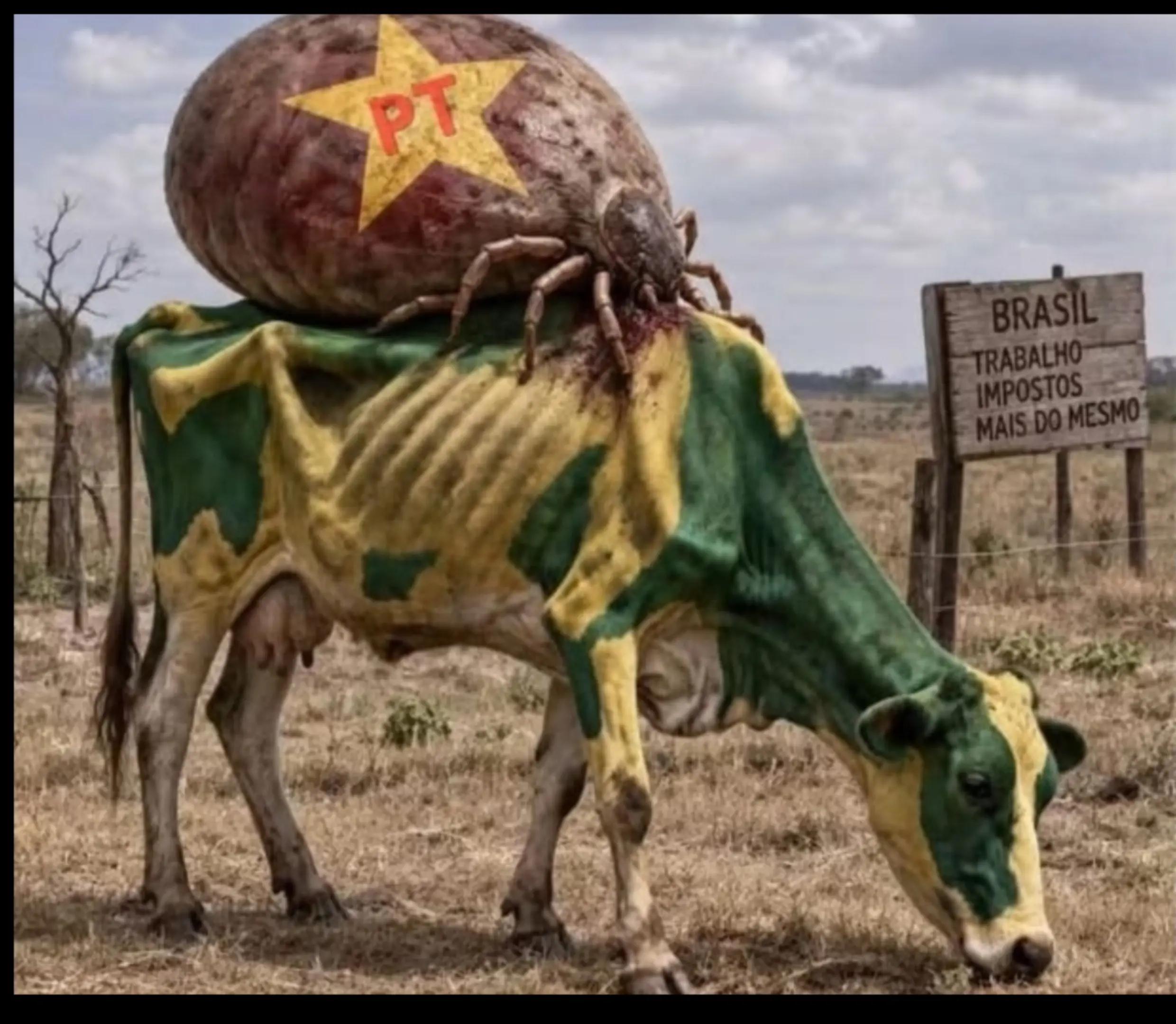 @@agroRotinaOficial.com🇧🇷🇺🇲