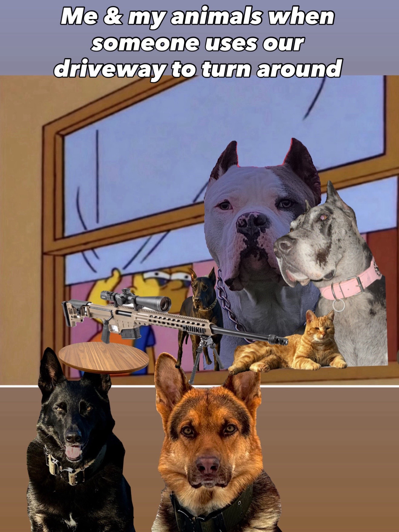 @🪶TheN8tiveDogfather🐾