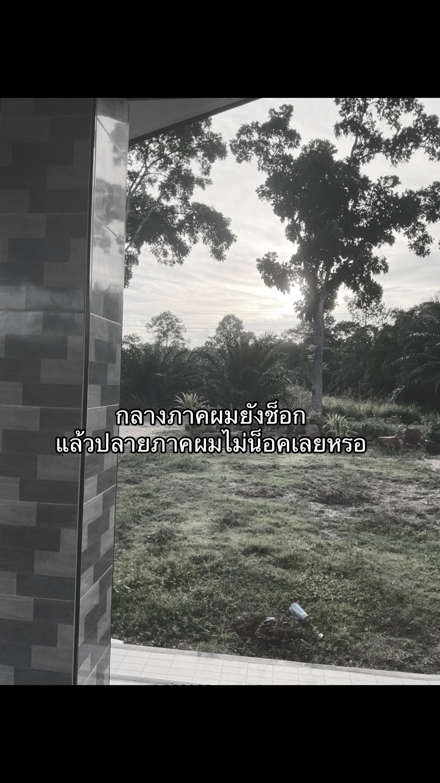 @Nam Phet⚡️💐