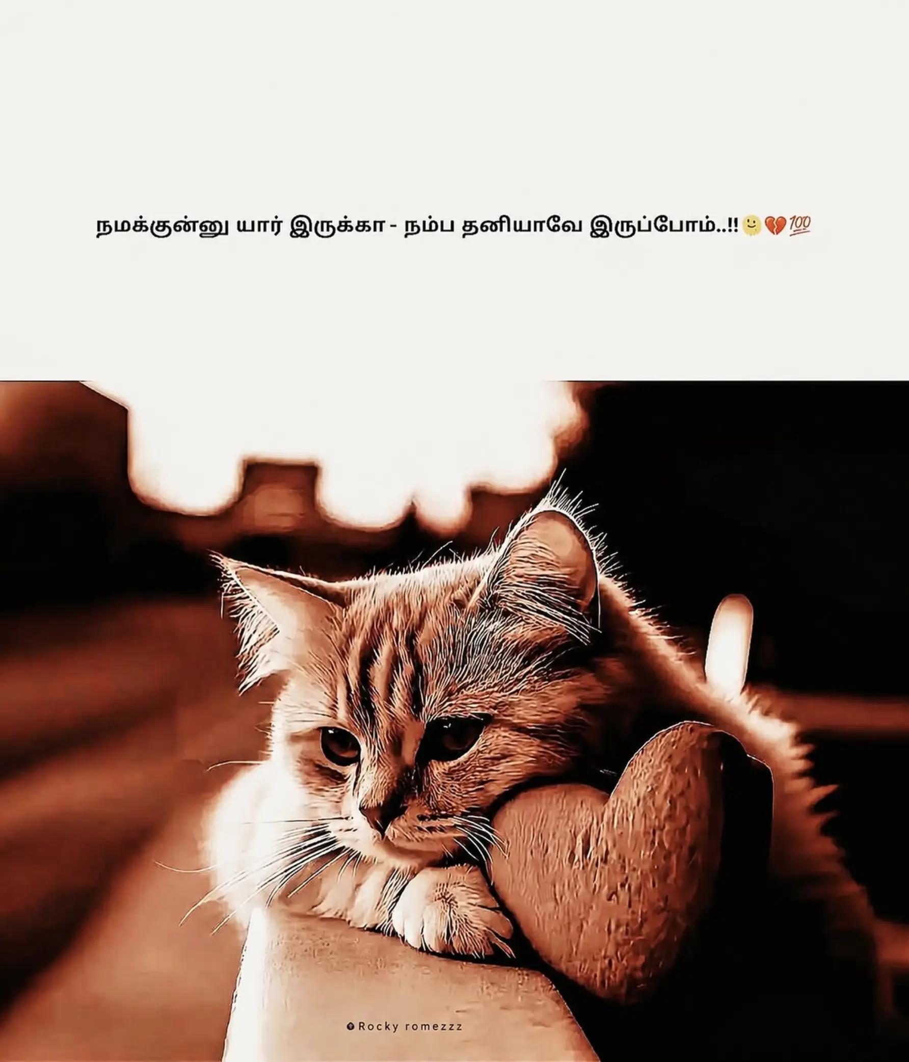 @🦋 🤭kavin 🤭🦋