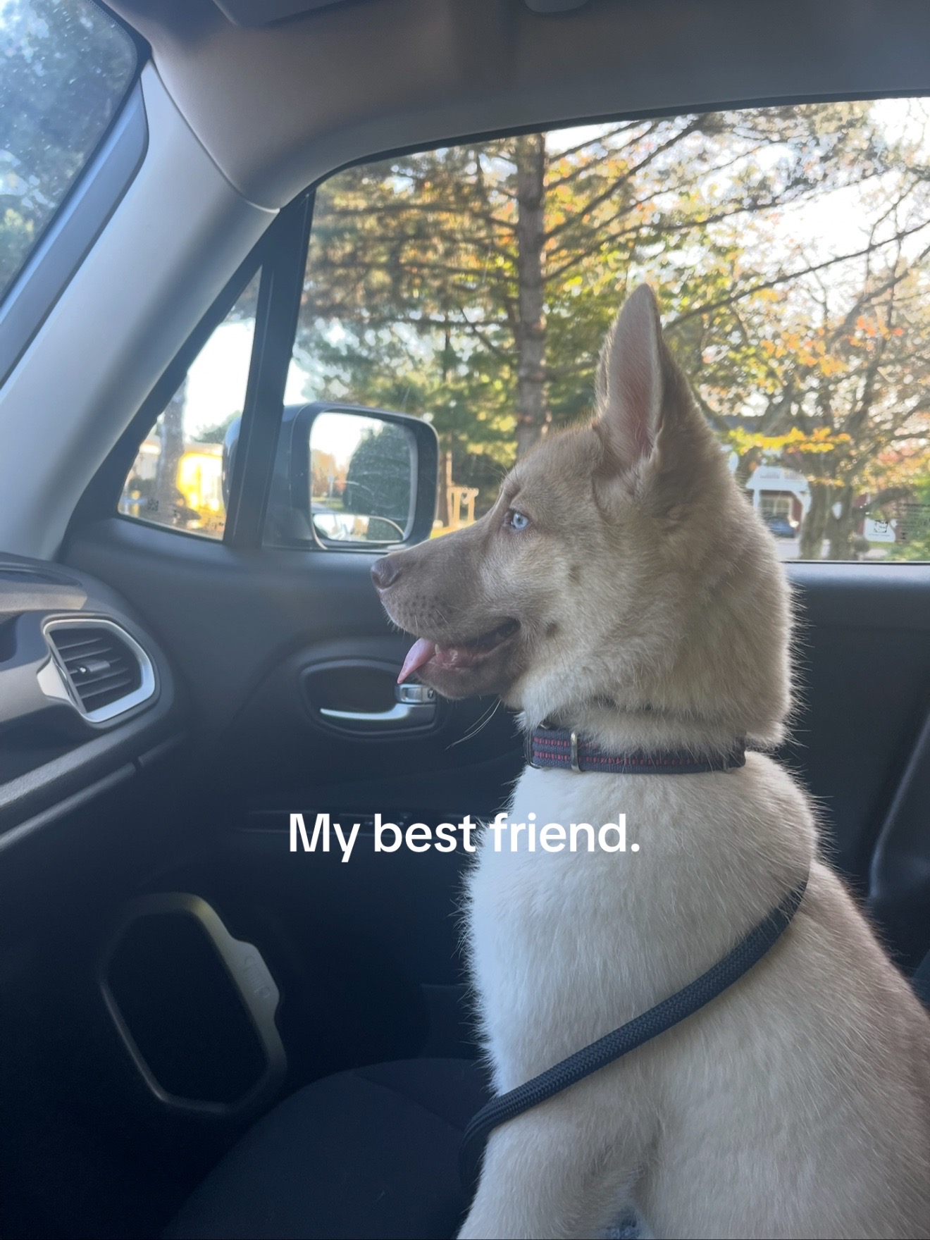 @Finn the Shepsky