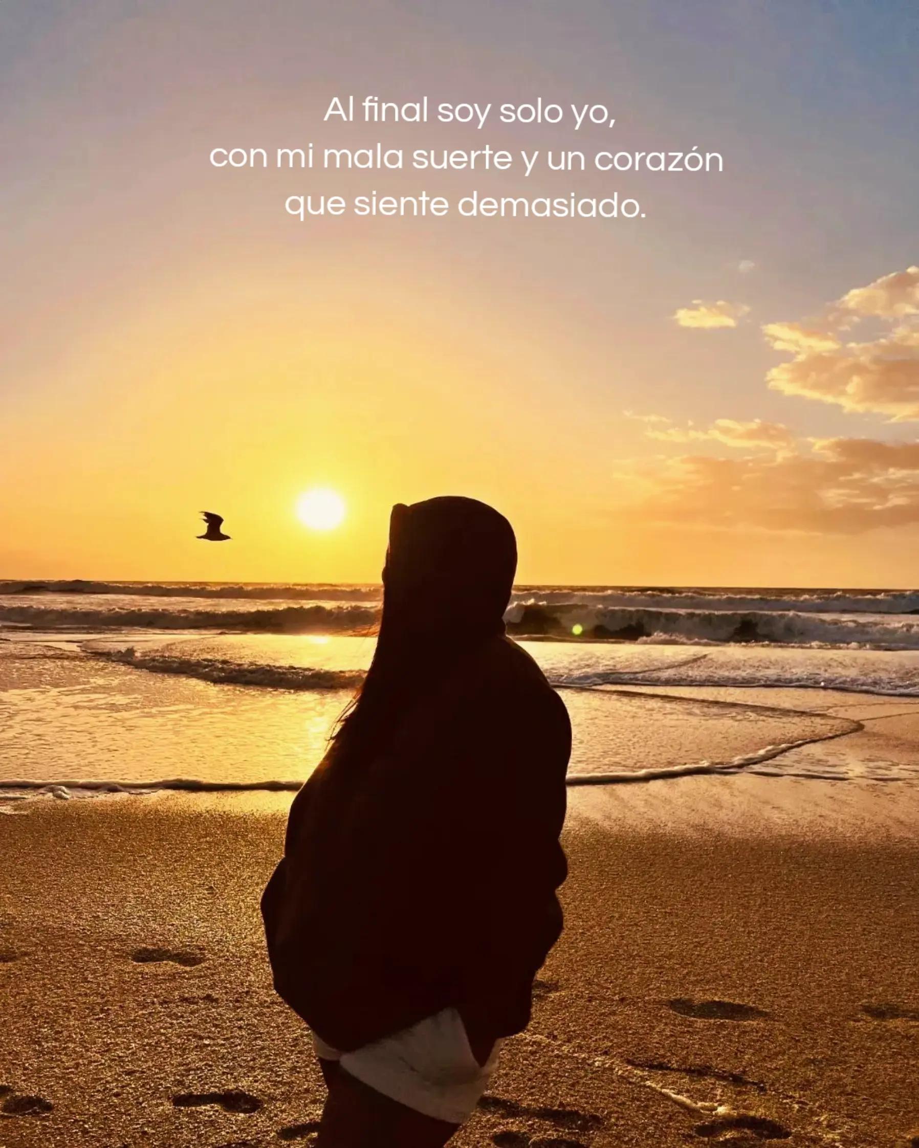 @Milagros Cisnero