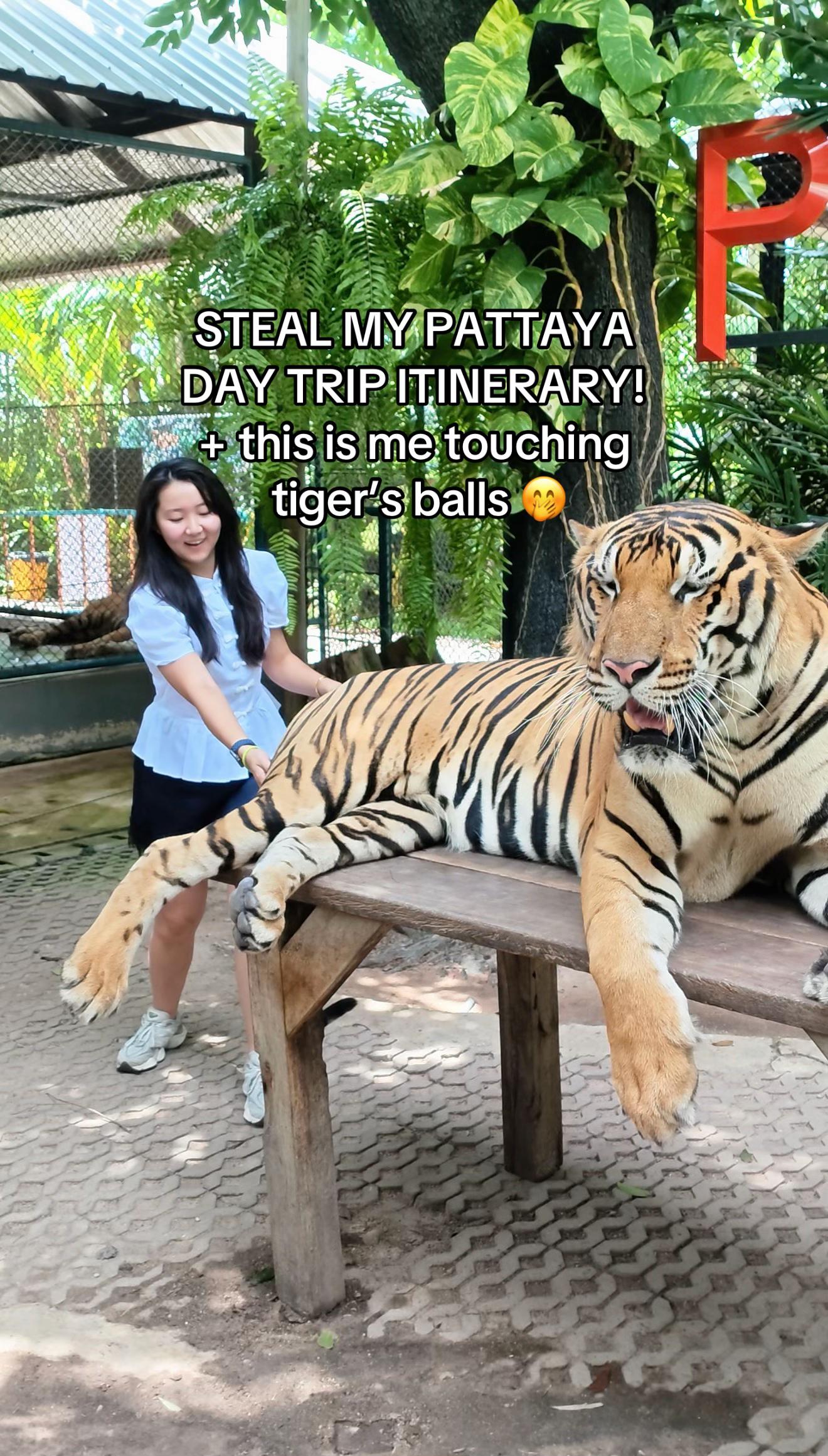 @thiri_nandar