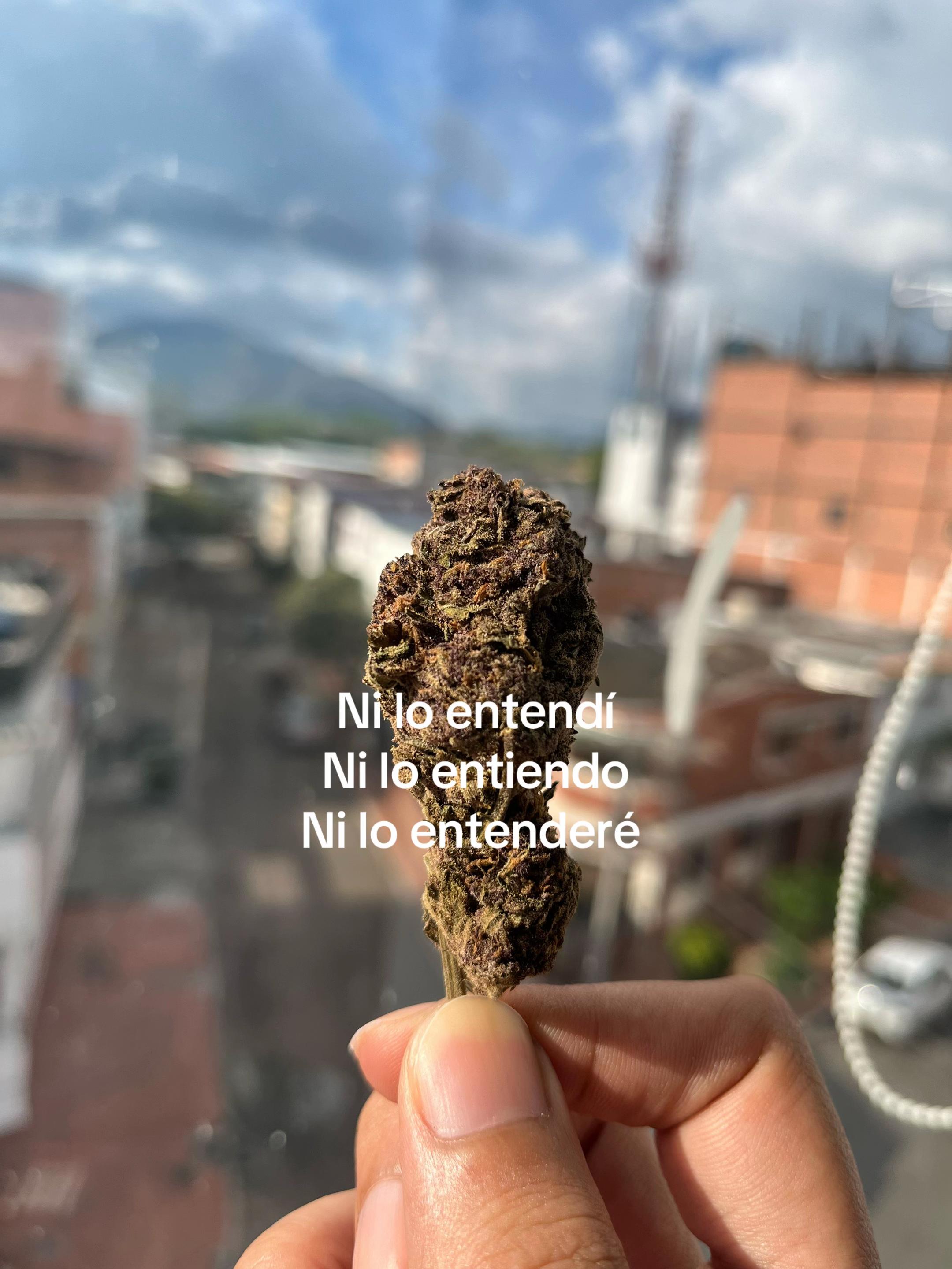 @Jamssa