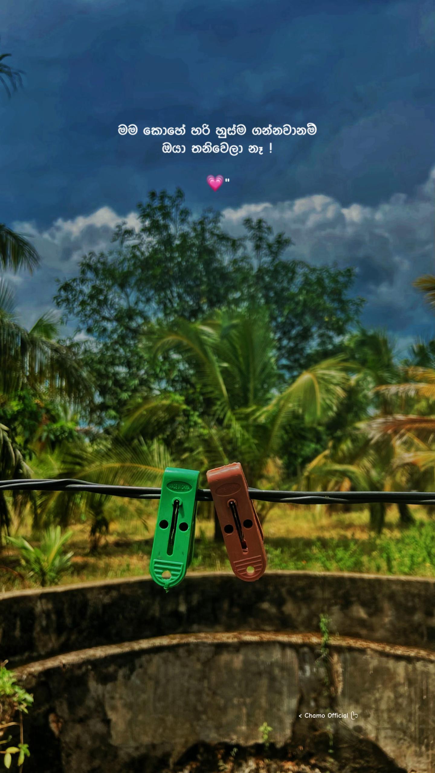 @< 𝐂𝐡𝐚𝐦𝐨 ᥫ᭡
