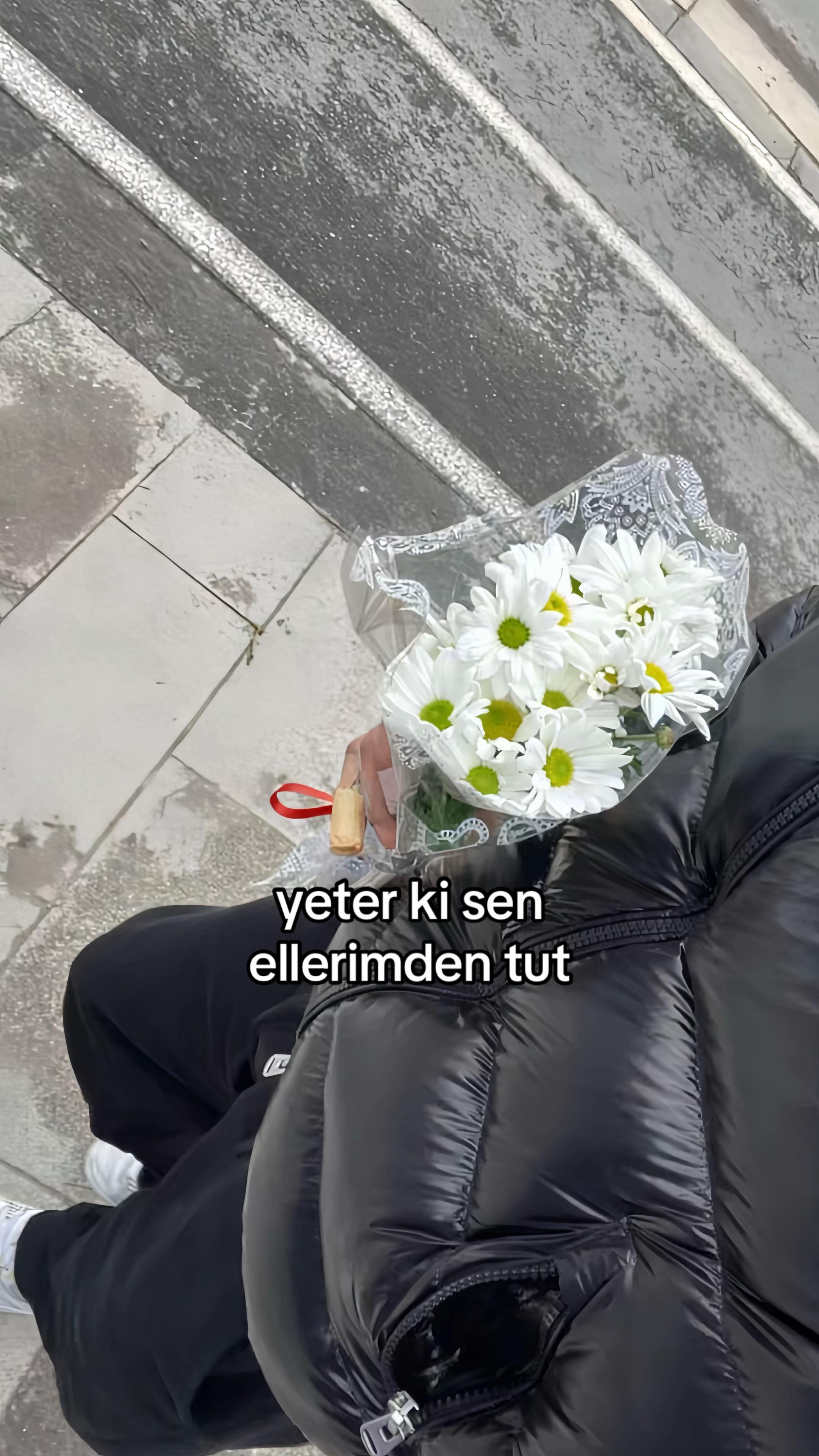 @Aniki
