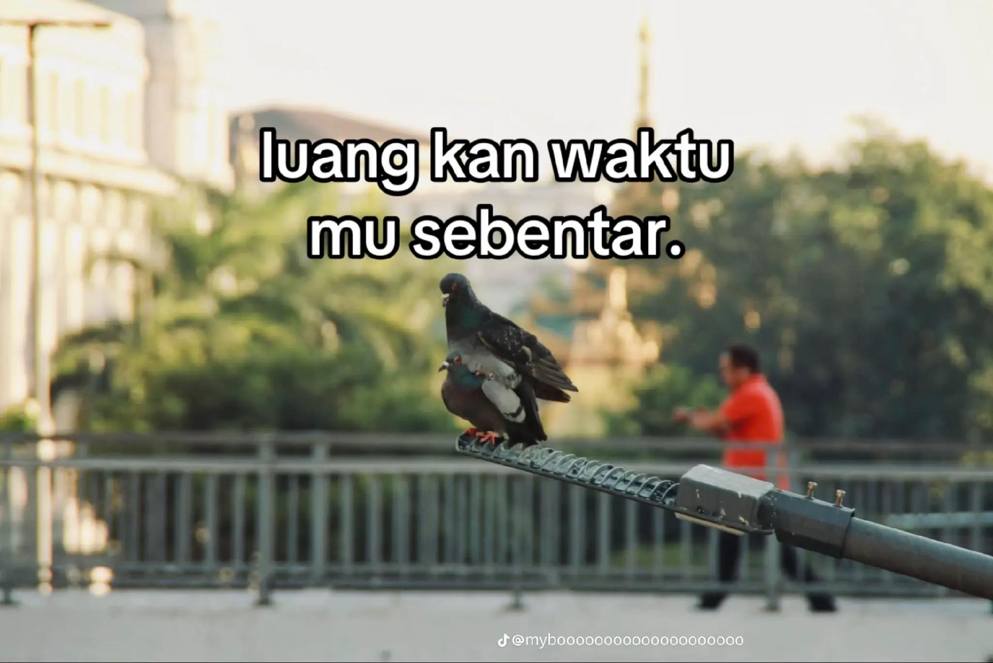 @iccung