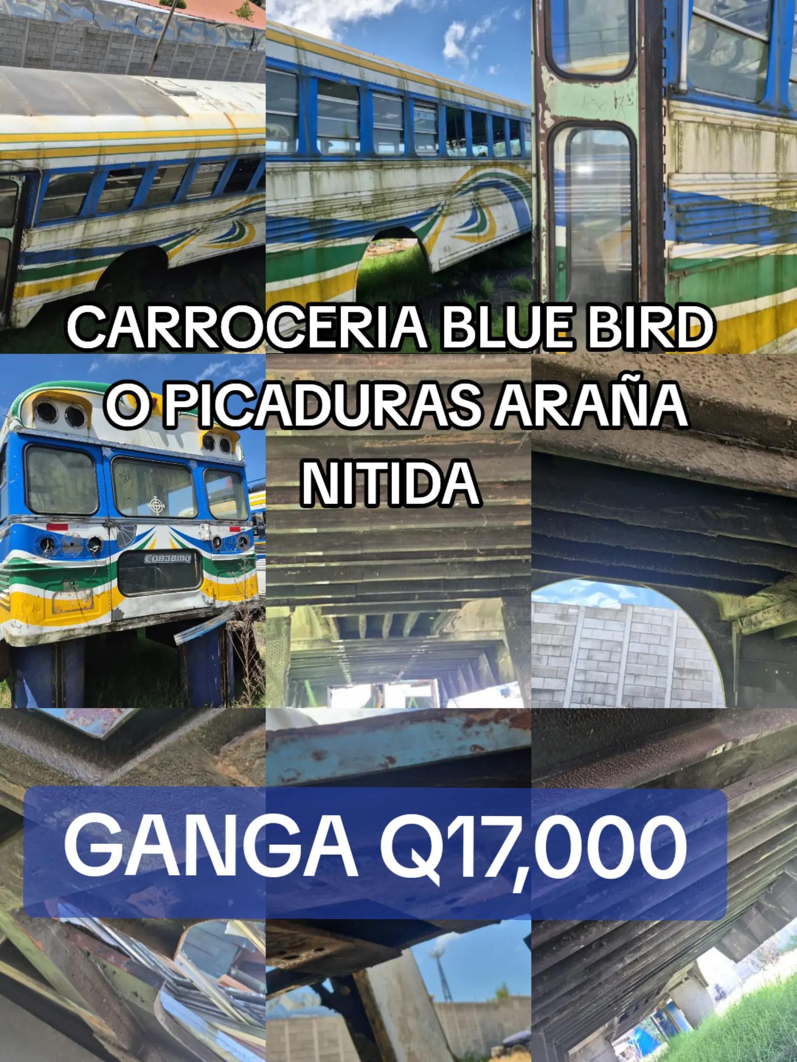 @Buses y Accesorios DG