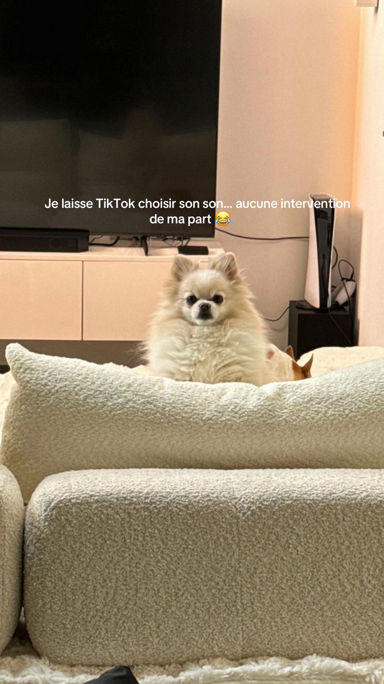 @ADIXIA