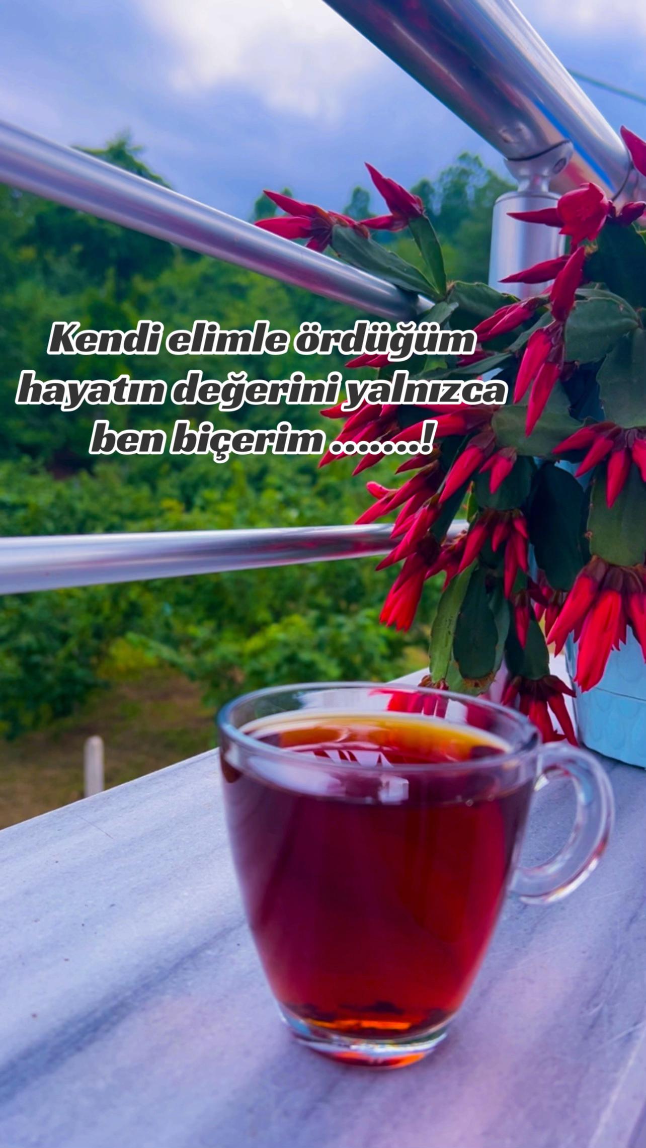 @Serpil