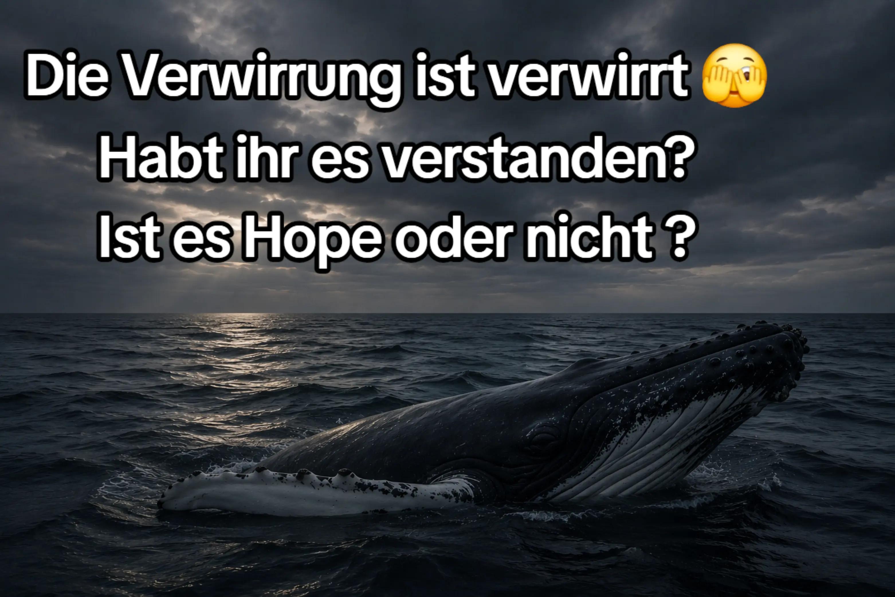 @🐳📚❤️DreamySusu❤️📚🐳