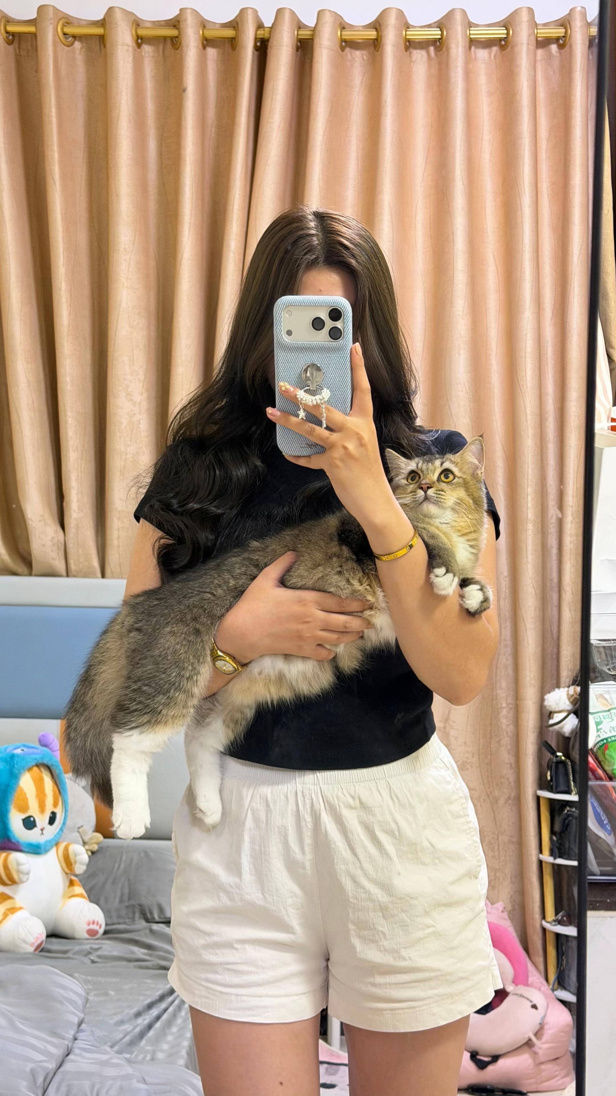 @🐈