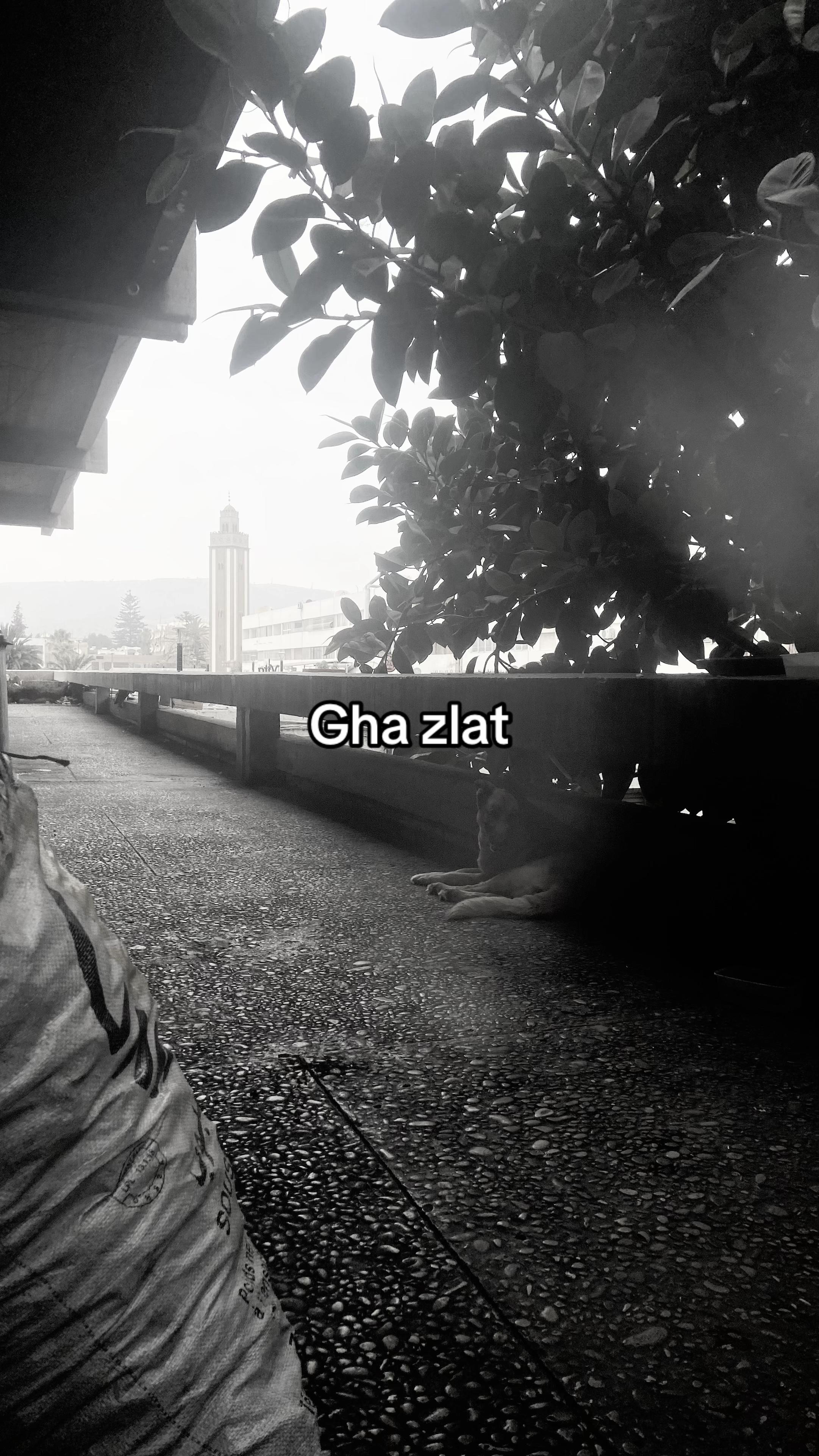 @مَيِّتْ.