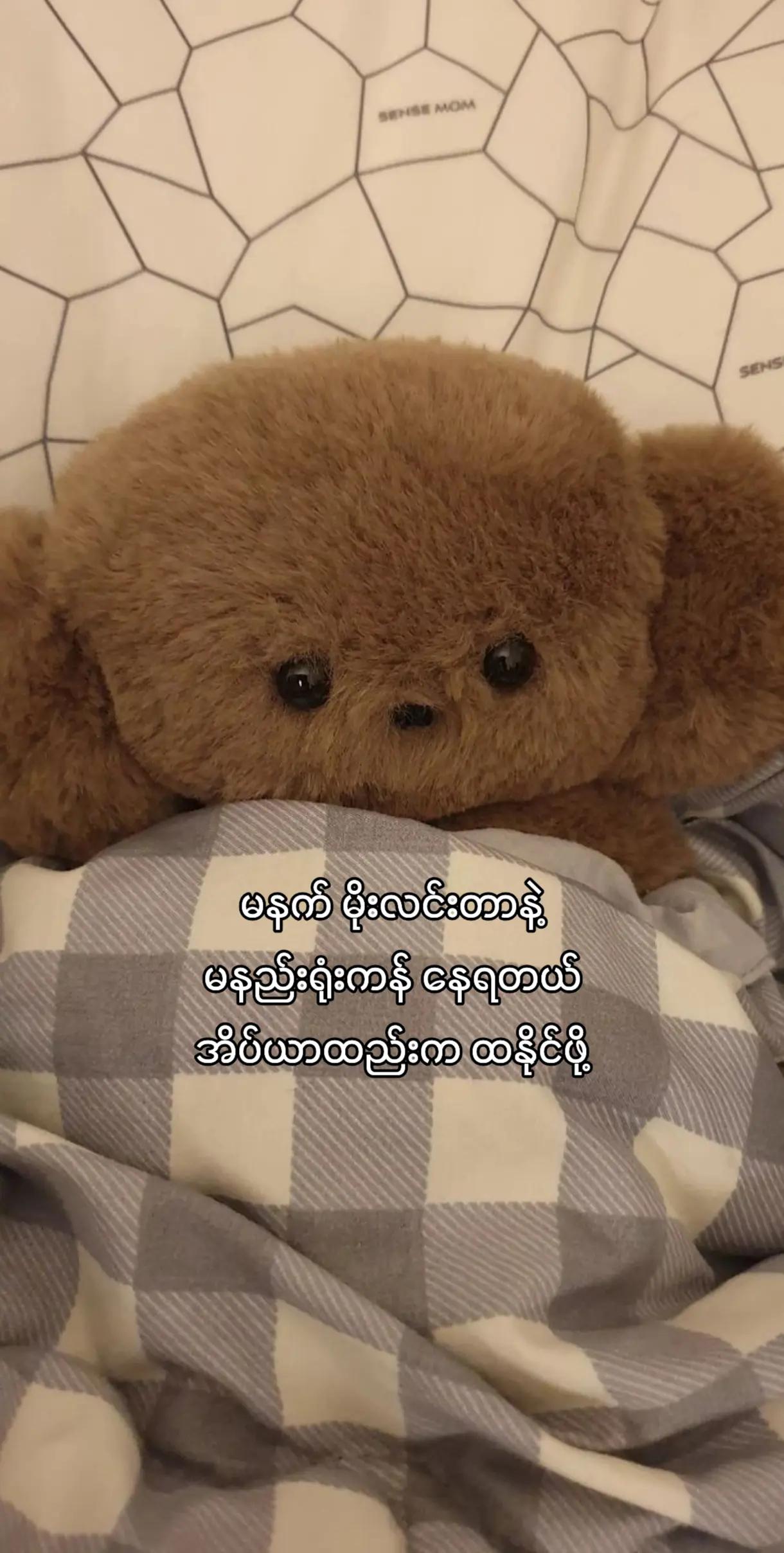@BITT🧸