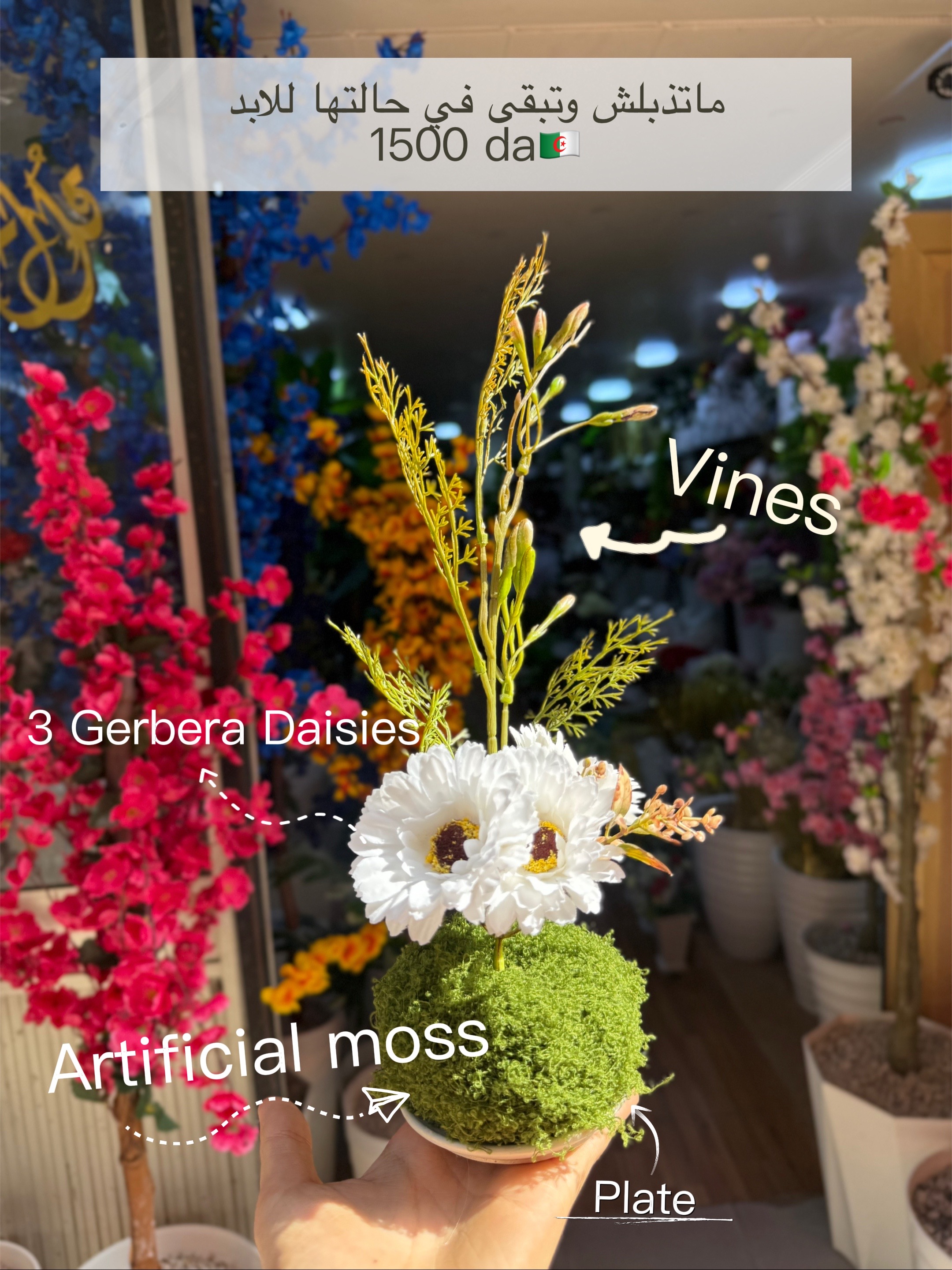 @Fleurs artificielles 🪷 oran
