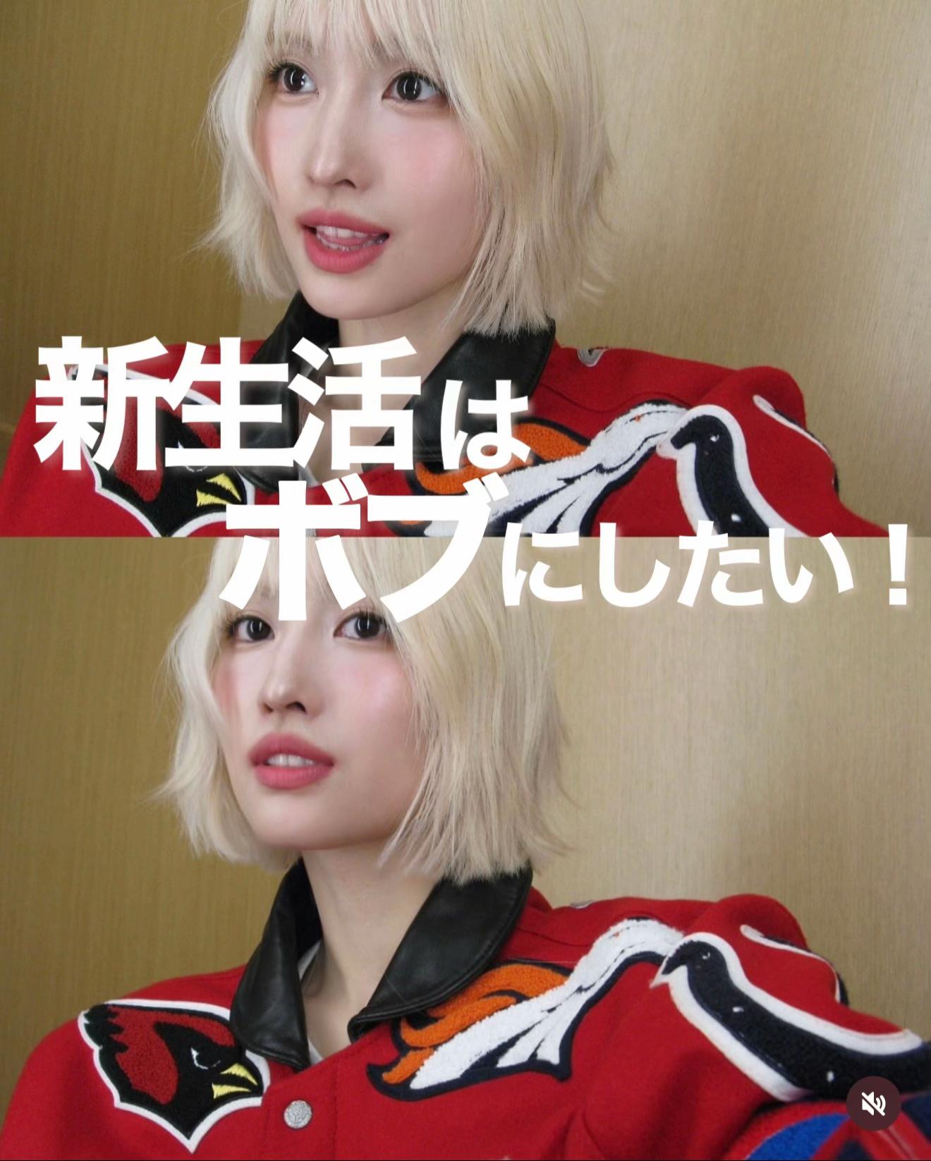 @ヘイリーボブを作った人　かずき