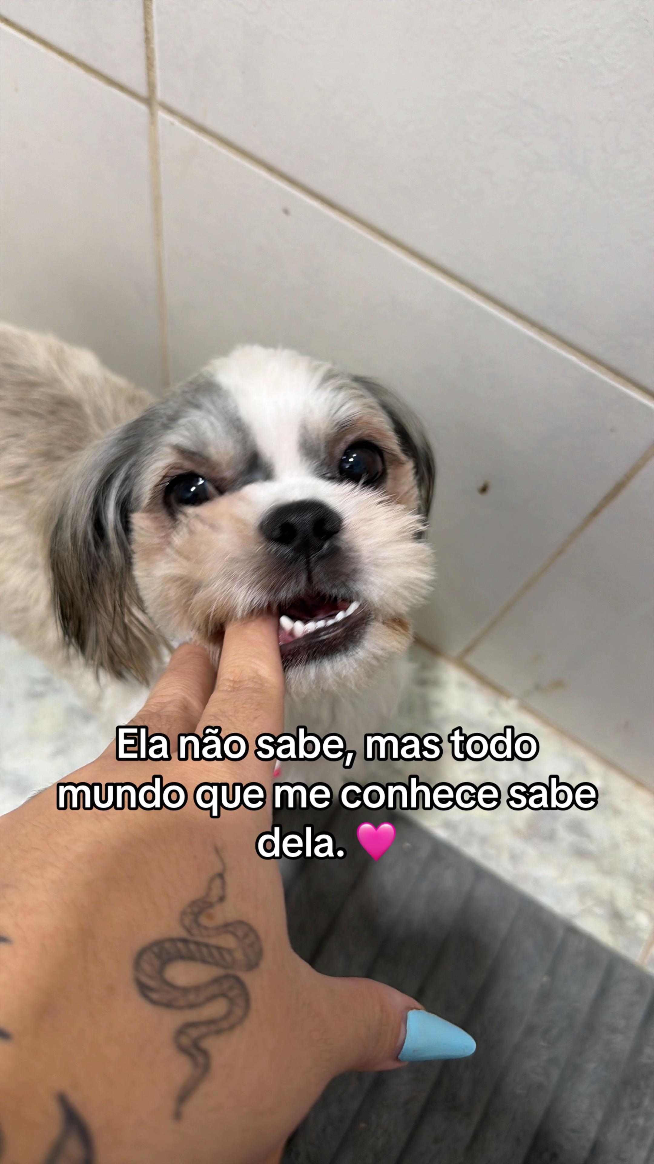 @Alice Rodrigues