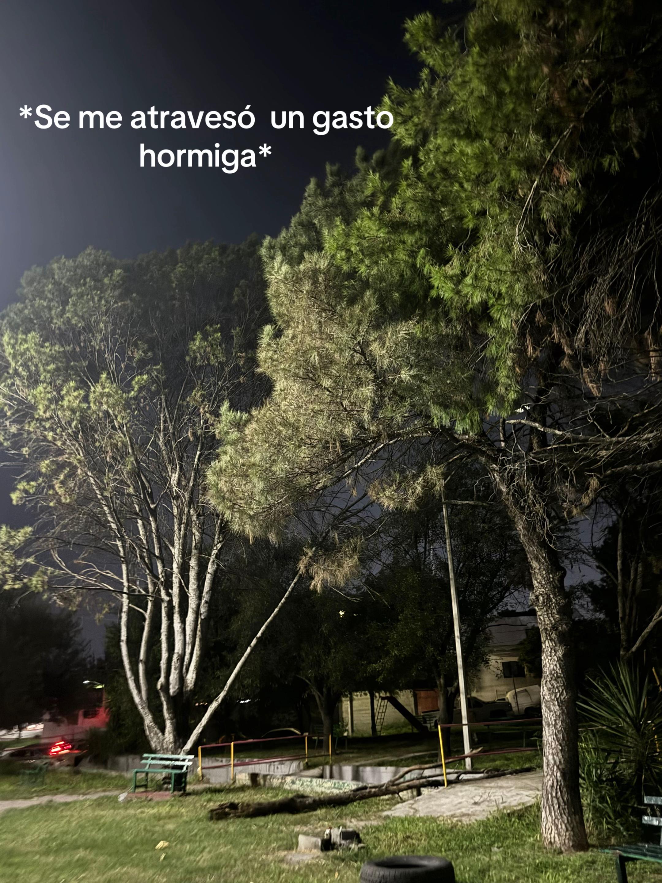 @Monyy Hernández