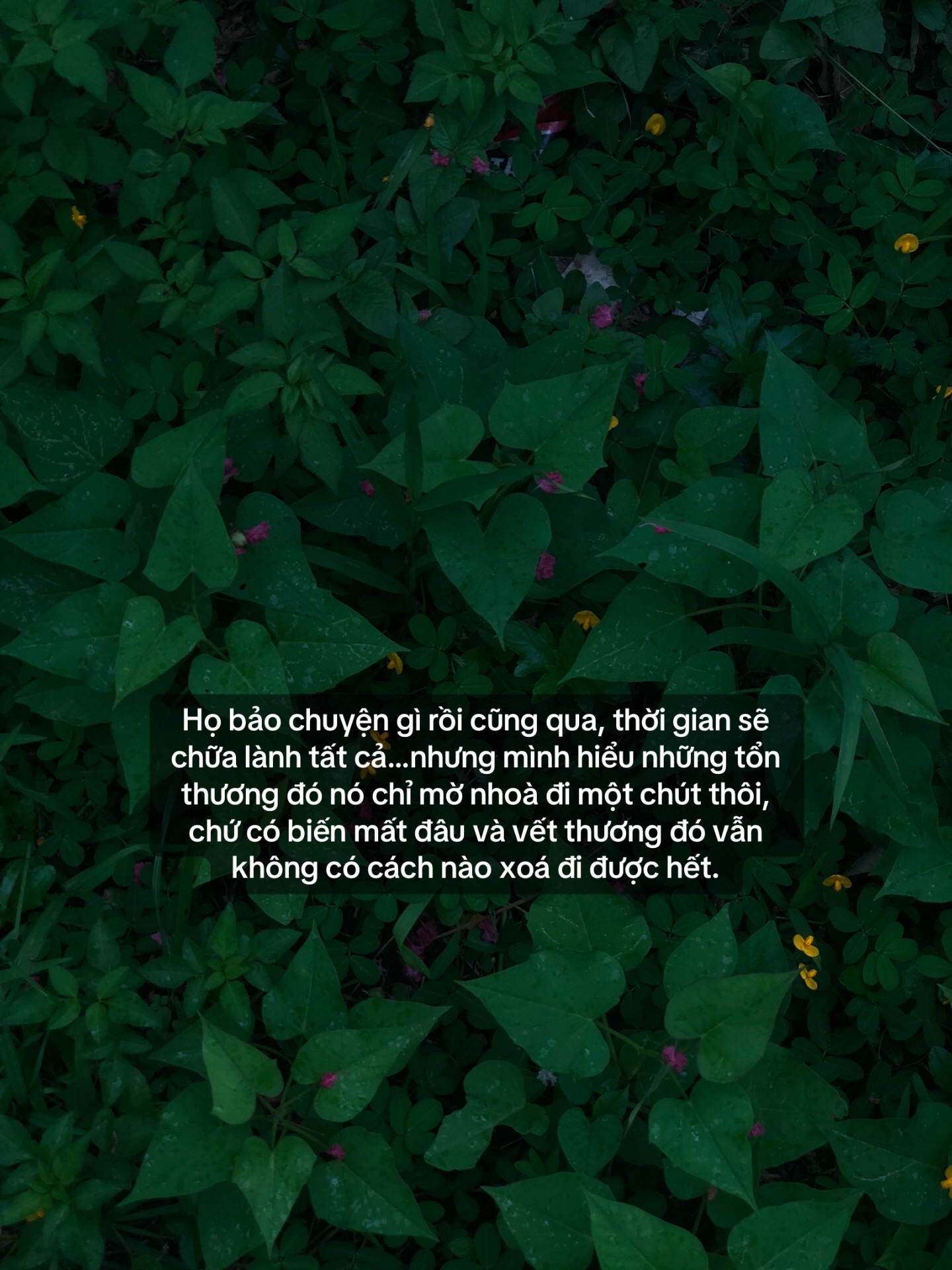 @Ở đ&acirc;y c&oacute; tổn thương!