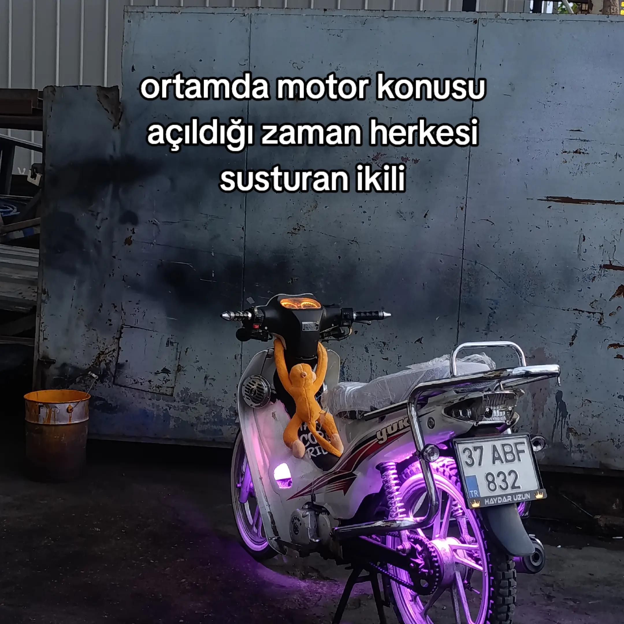 @Haydar uzun✍️