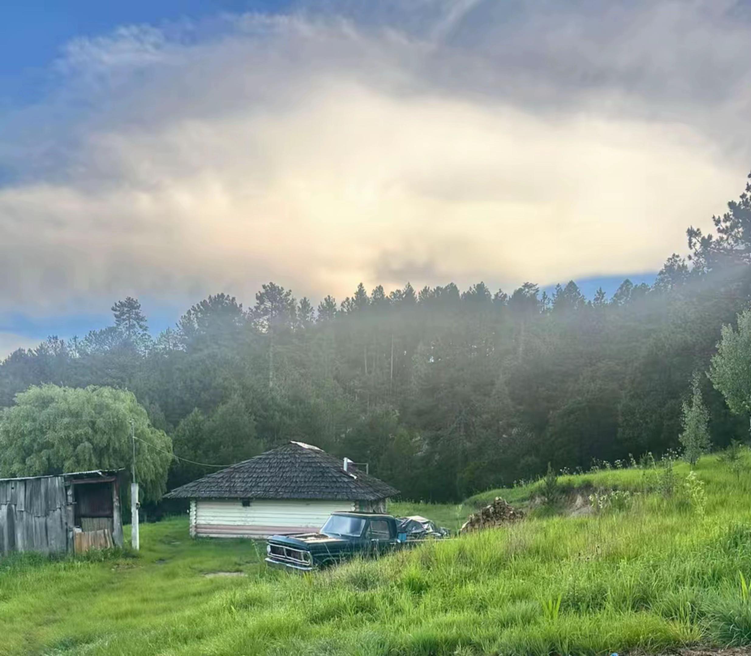 @Arelí 👑🌳🪵🧩