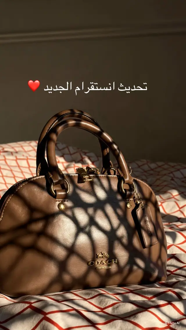 @بلوقر ليال