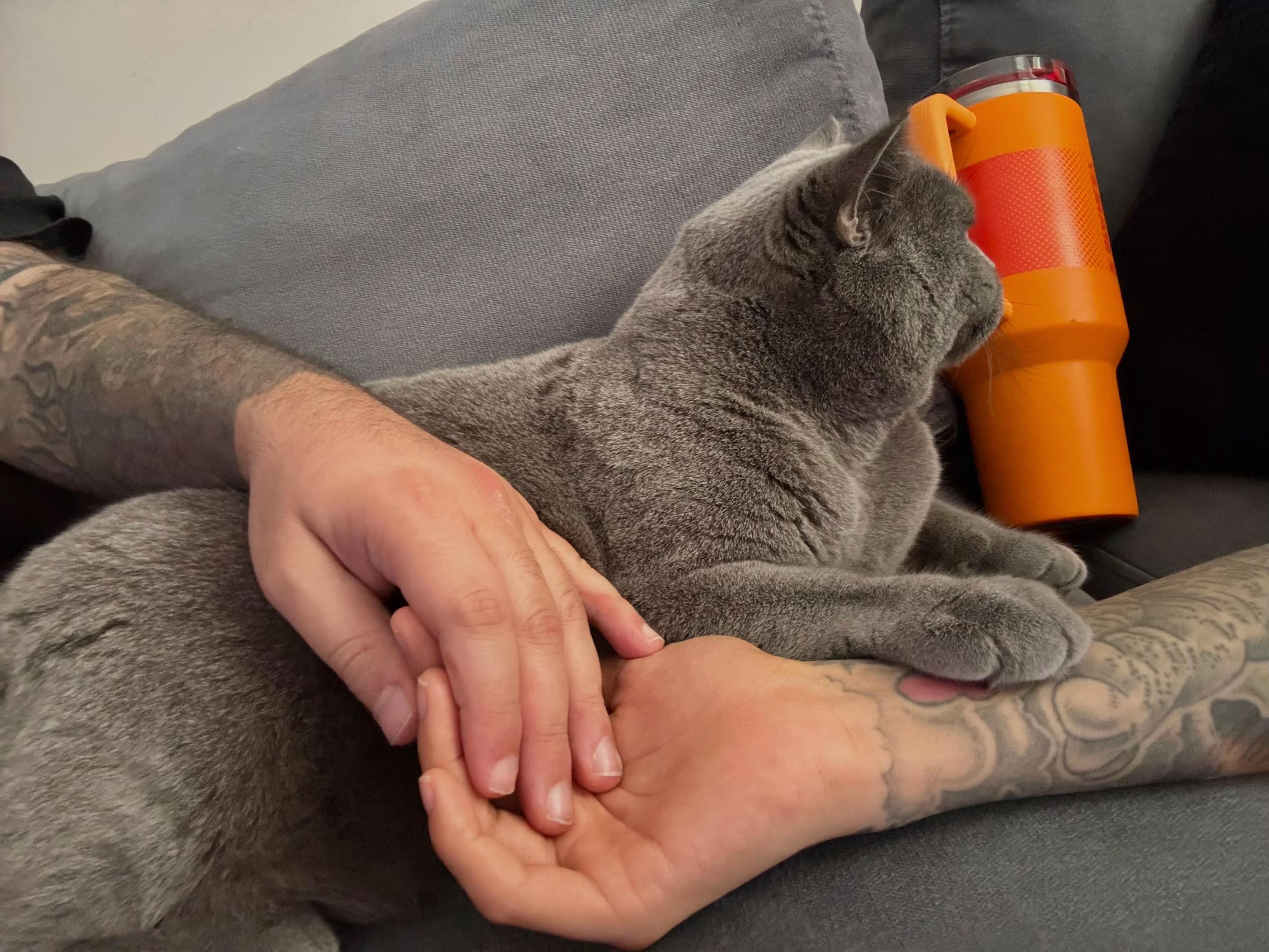 @İngizem
