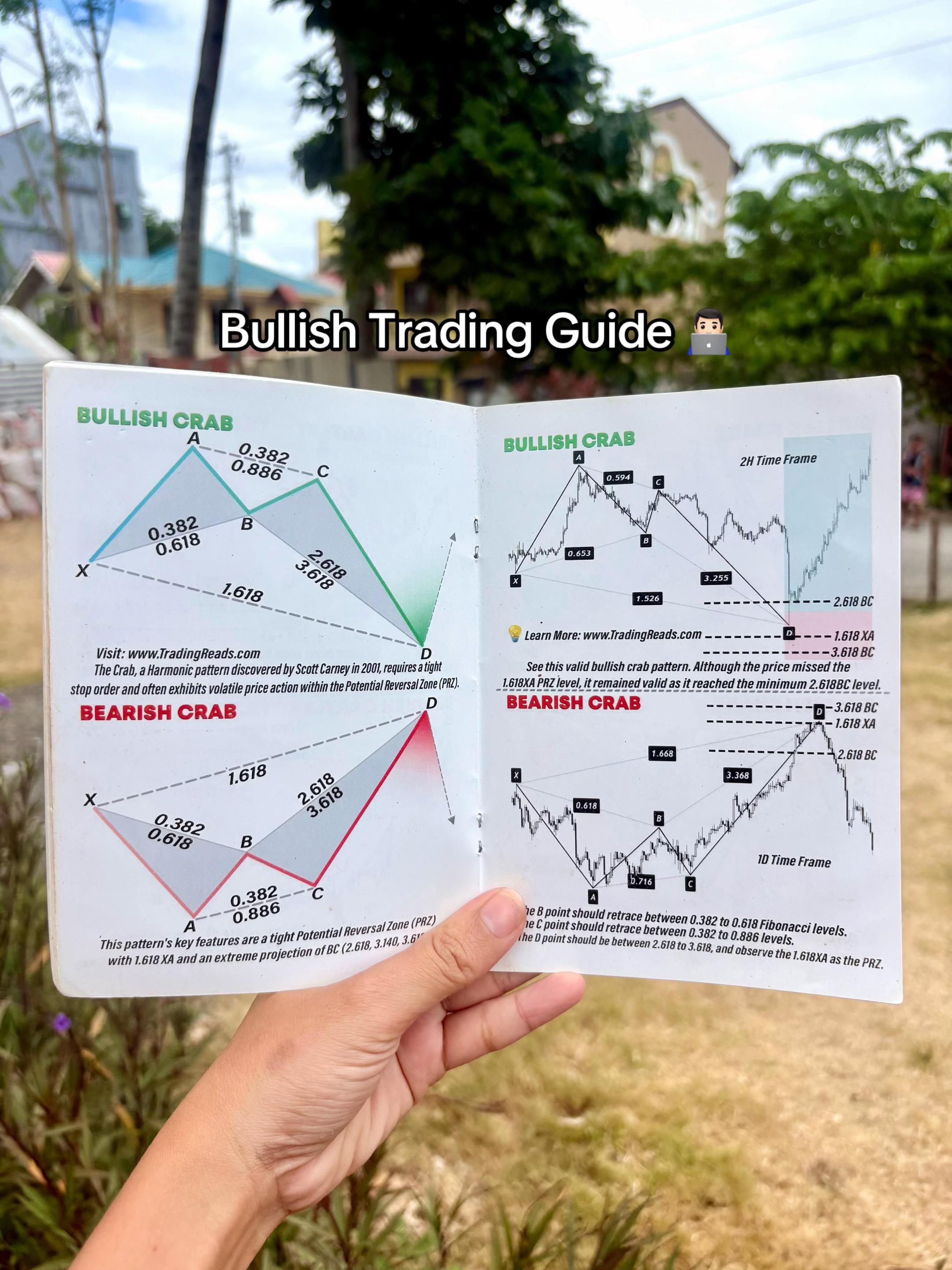 @TheSillyTrader