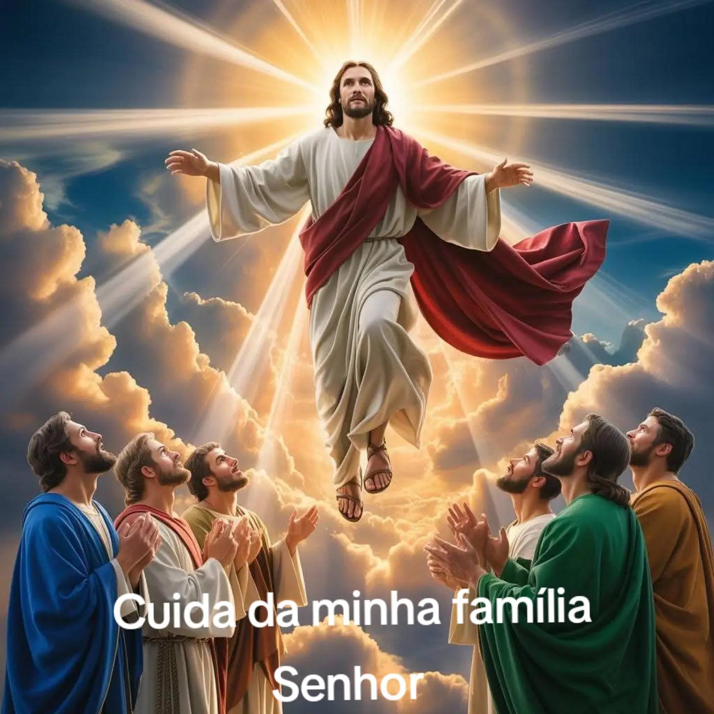 @Alzira Dias