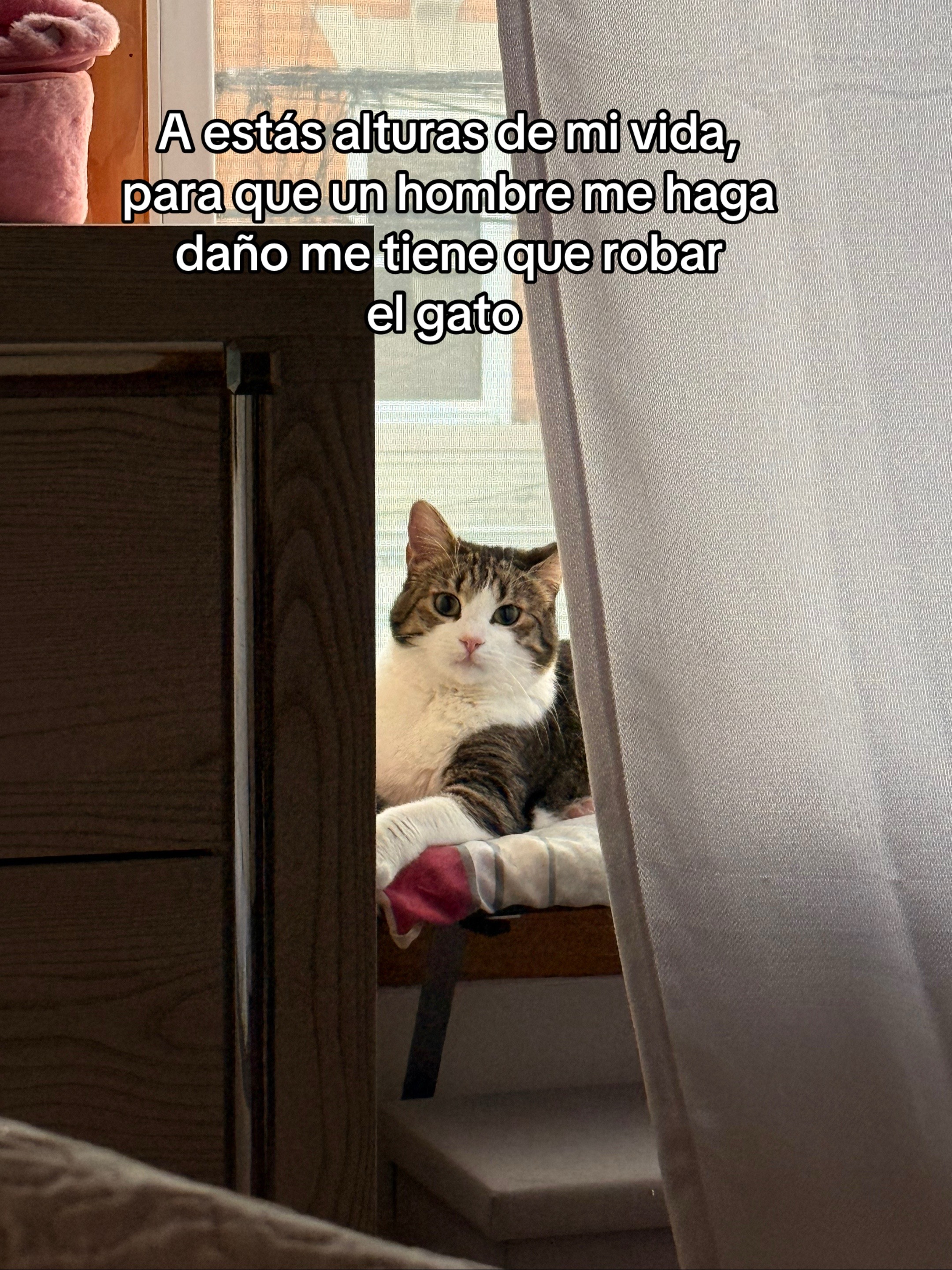 @Elizabeth Reyes