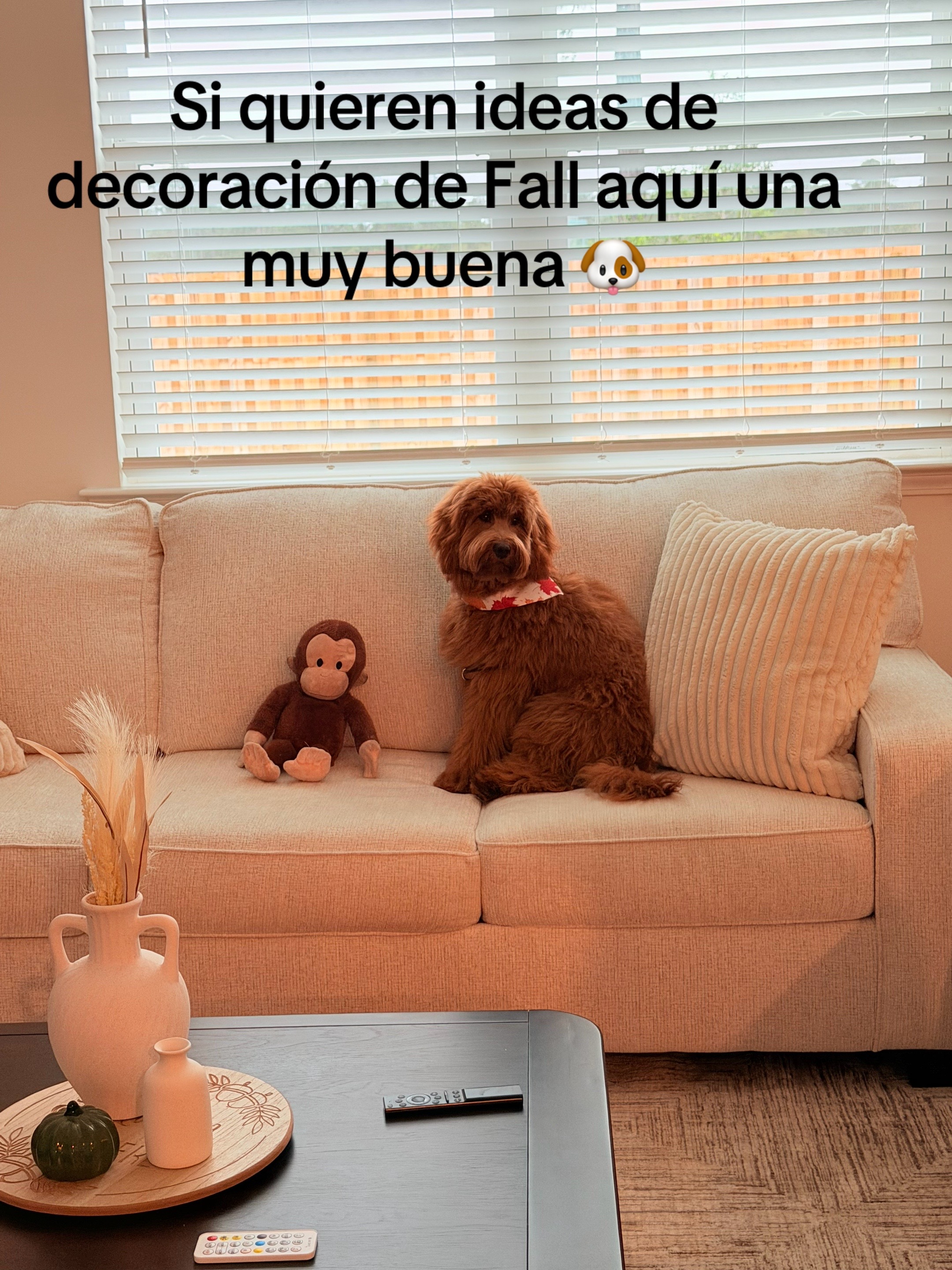 @HPC INSURANCE