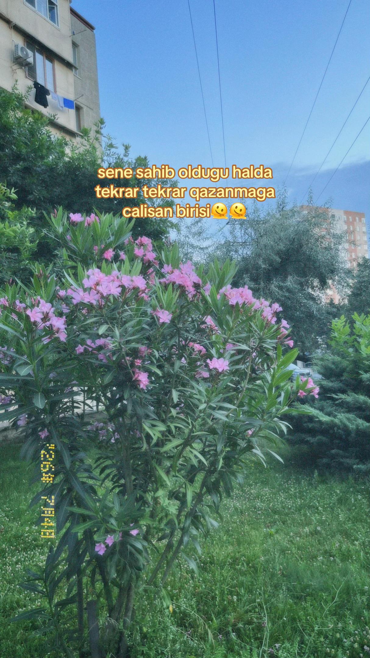 @sema46,48,50F💐