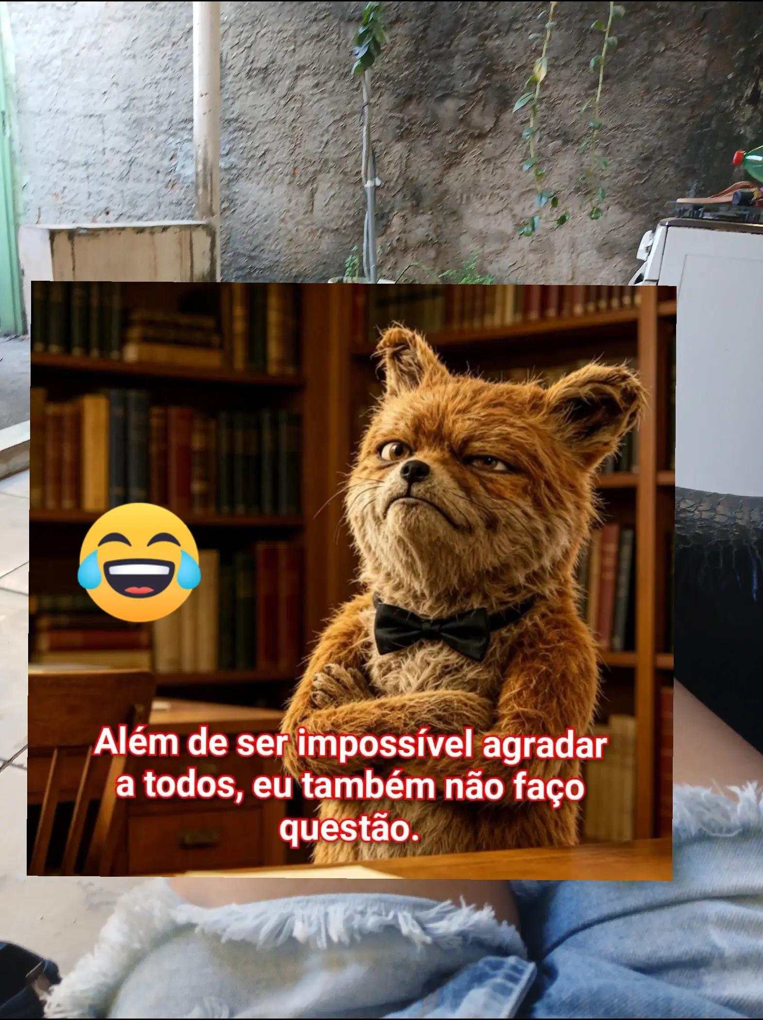 @humor da Célia 🤣