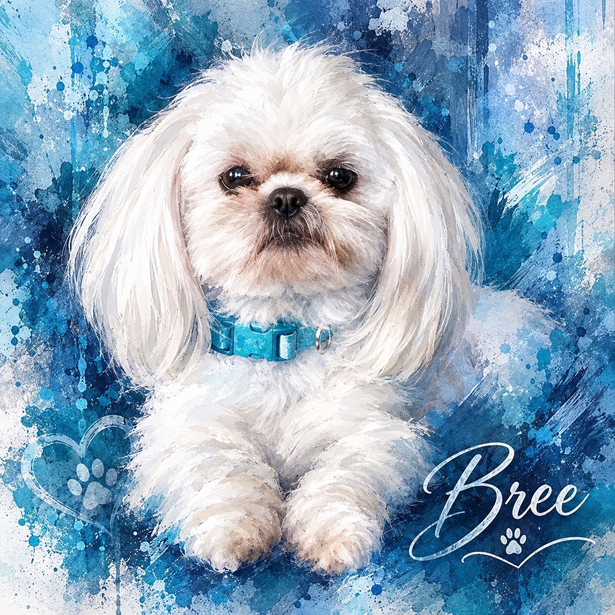@Twilight Shih Tzu