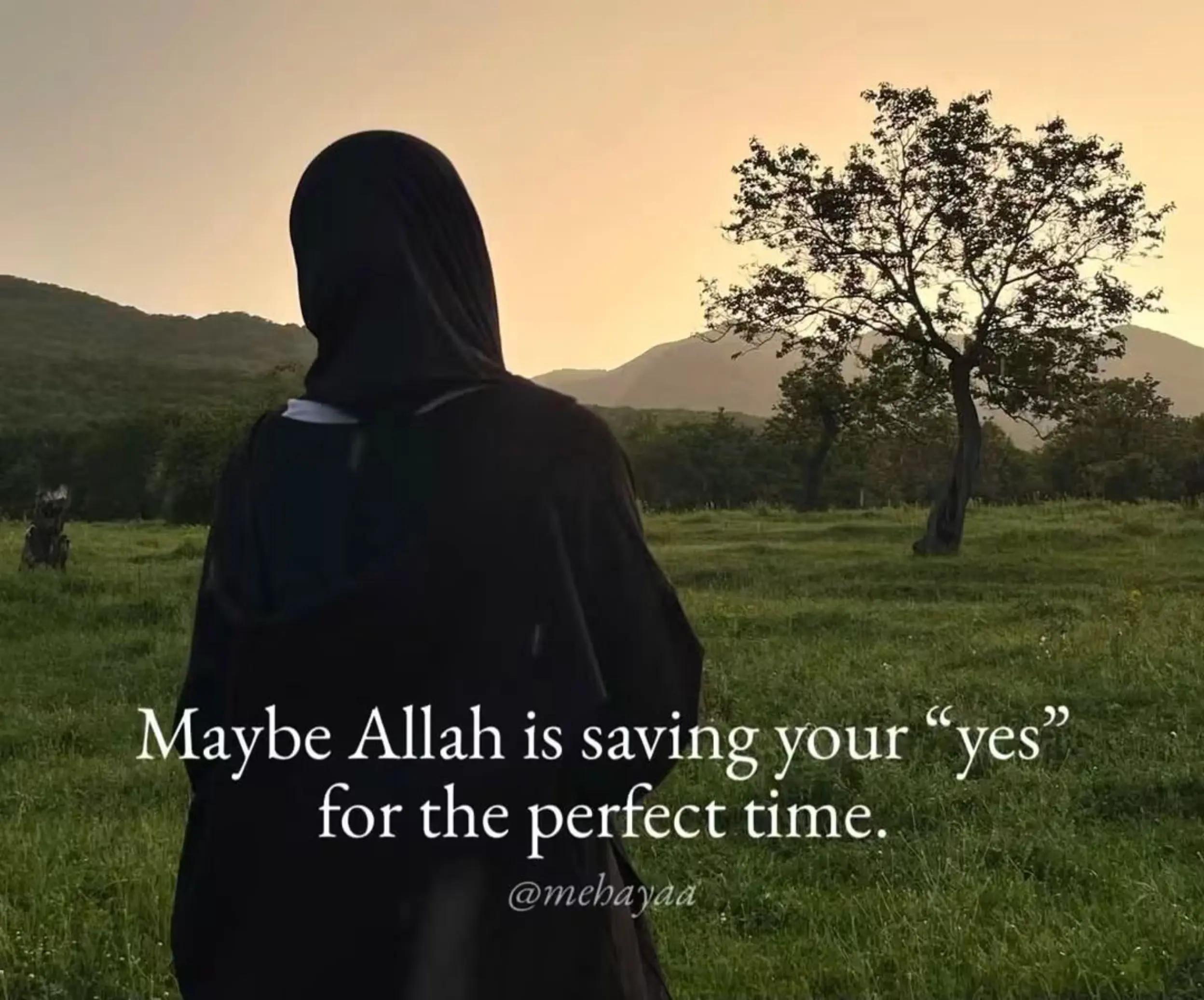 @salma ali
