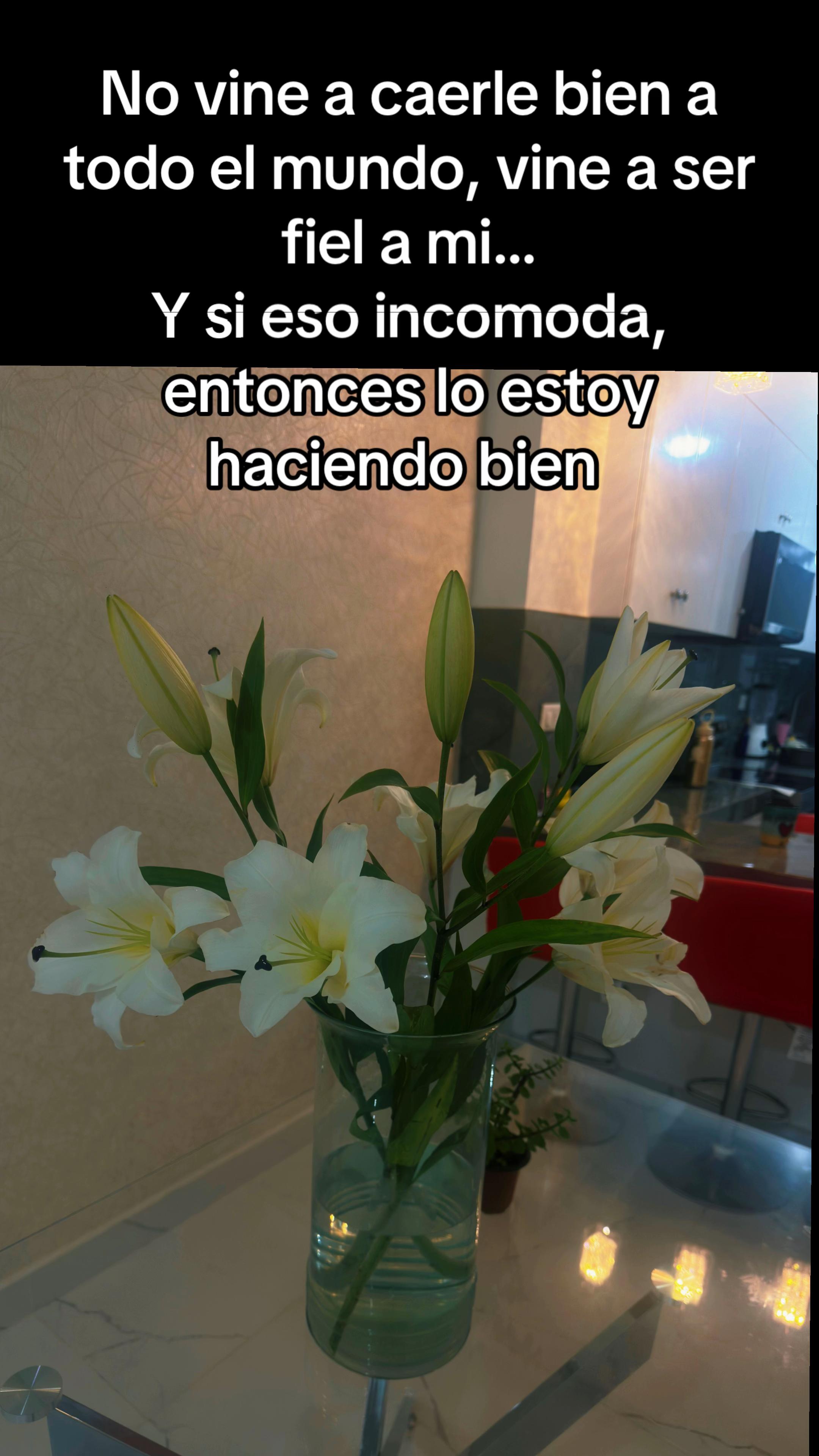 @Brensus
