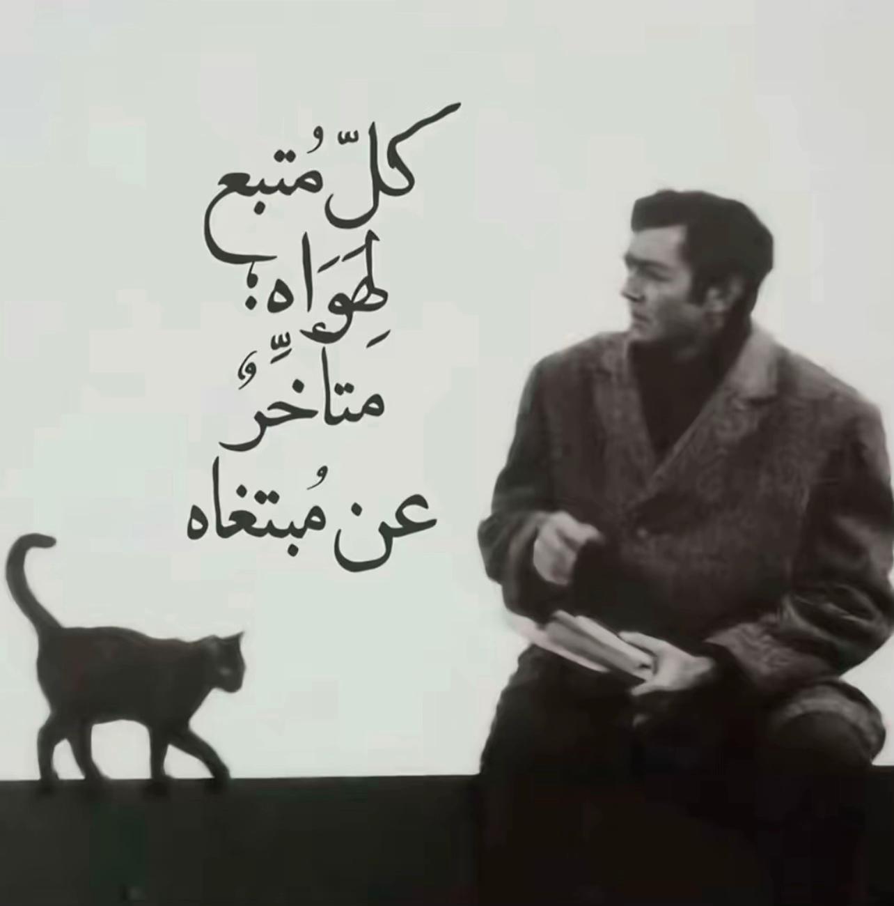 @هيا | HAYA
